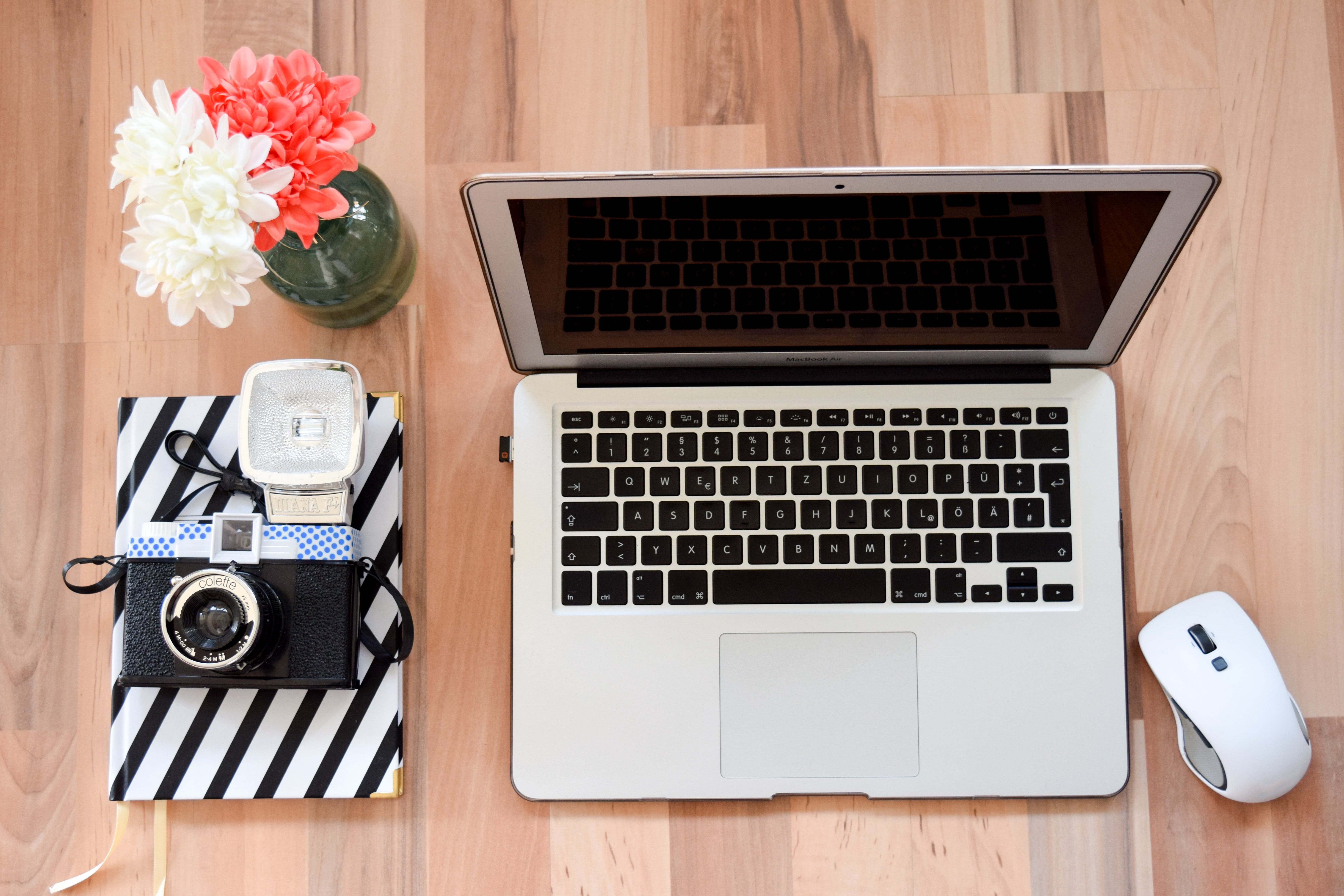 brown, computer keyboard, web design, keyboard, flower, lancer, flowering plant, wireless, mac, silver, beside, office work, keys, mouse, macbook, screen, HD Wallpaper