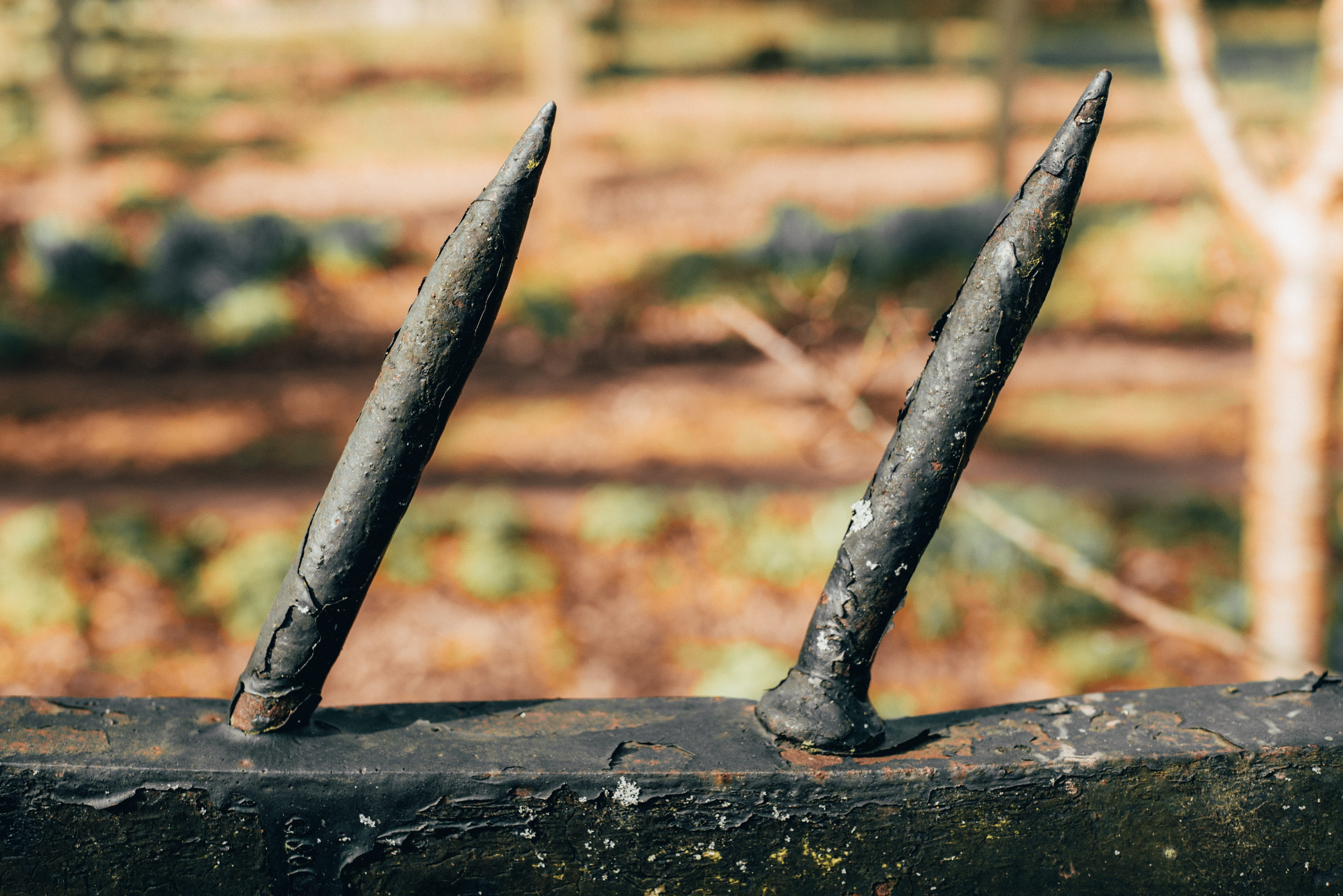united kingdom, nail, nature, close-up, hand tool, point, decline, railing, close up, black, strength, rail, bent, damaged, work tool, deterioration, no people, HD Wallpaper