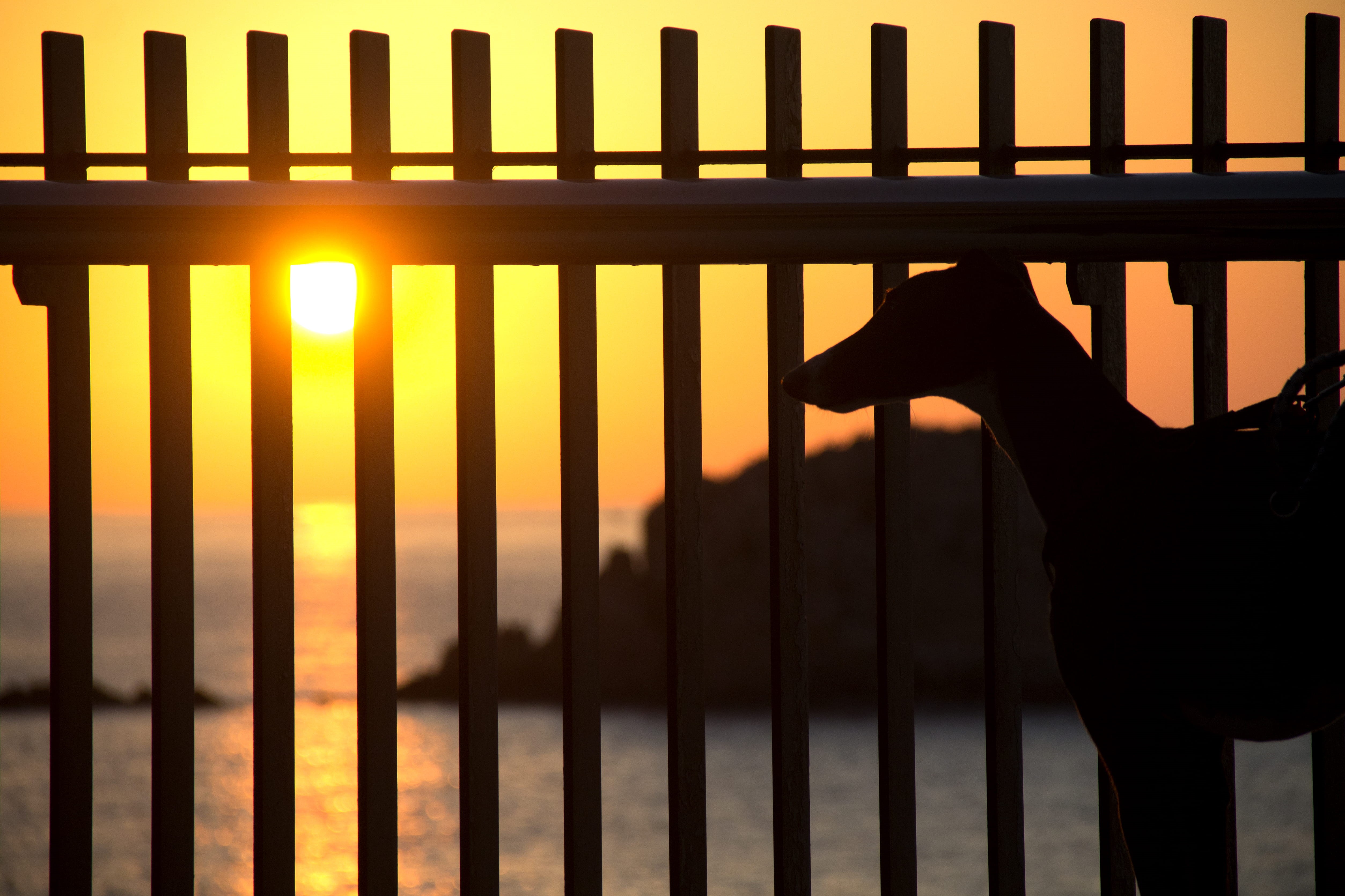 tossa de mar, sunset, fence, real people, protection, orange color, human hand, safety, finger, one person, spain, outdoors, railing, security, sky, barrier, HD Wallpaper