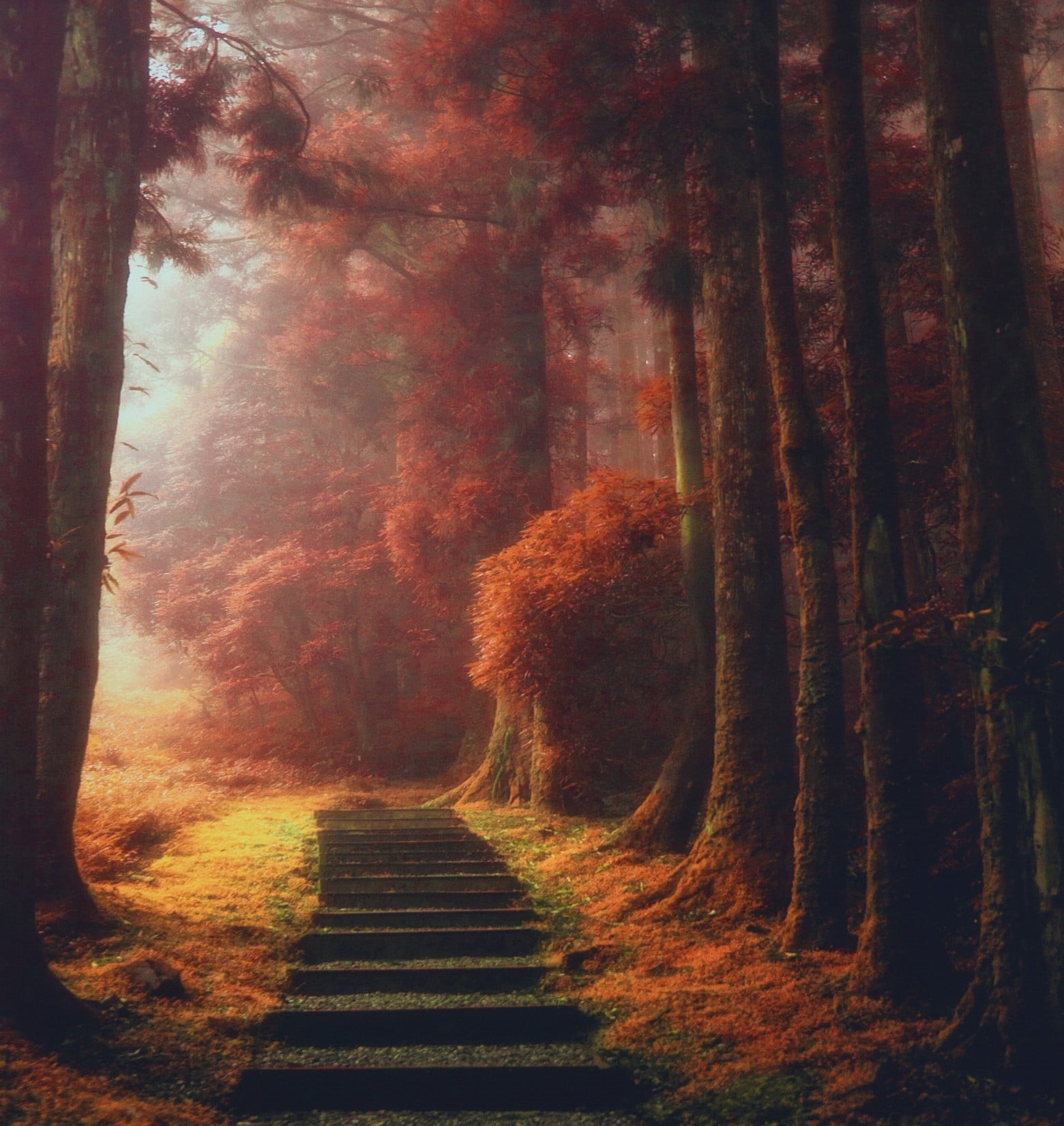 painting, woodland, growth, nature, tranquility, direction, magic, fall, the way forward, trunk, trees, stairs, day, landscape, autumn, change, mist, tree, Phone HD Wallpaper