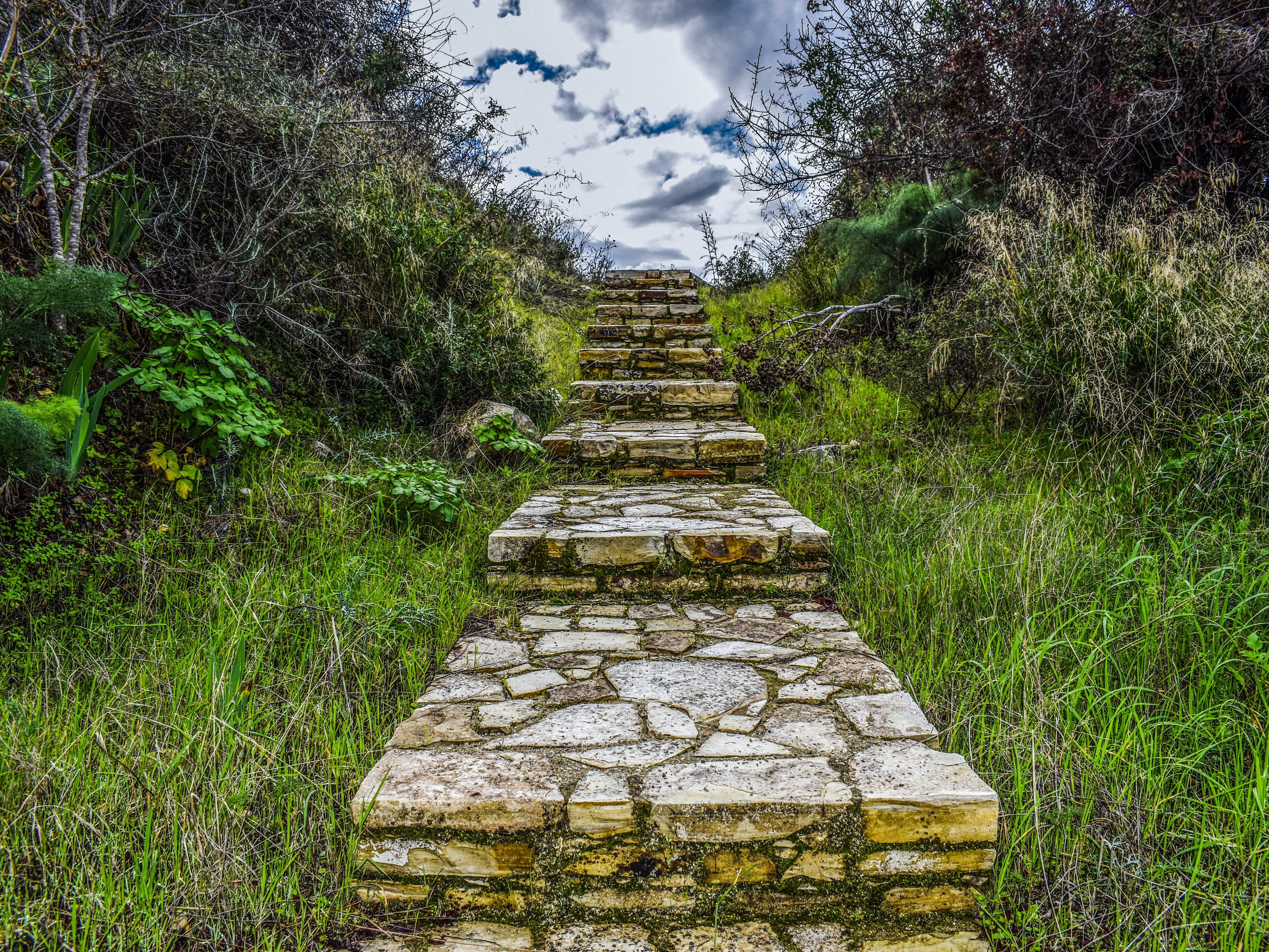 diminishing perspective, no people, 5K, footpath, scenery, stairs, travel, stone - object, tree, plant, nature, beauty in nature, sky, stairway to heaven, HD Wallpaper