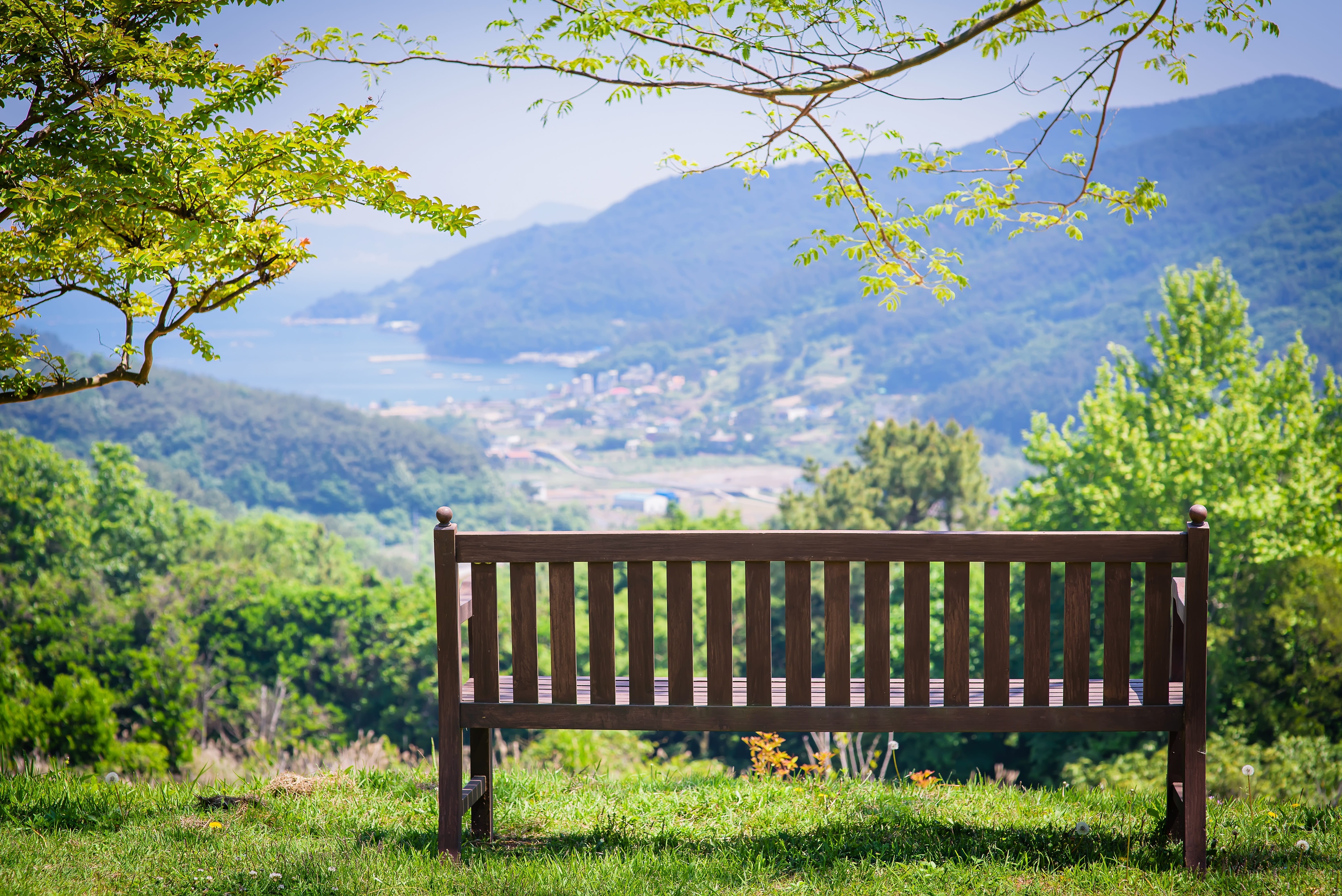 near, national park, chair, slatted, idyllic, wood - material, sky, trees, no people, Tongyeong, healing, growth, 5K, pause, land, tranquil scene, Landscape, HD Wallpaper