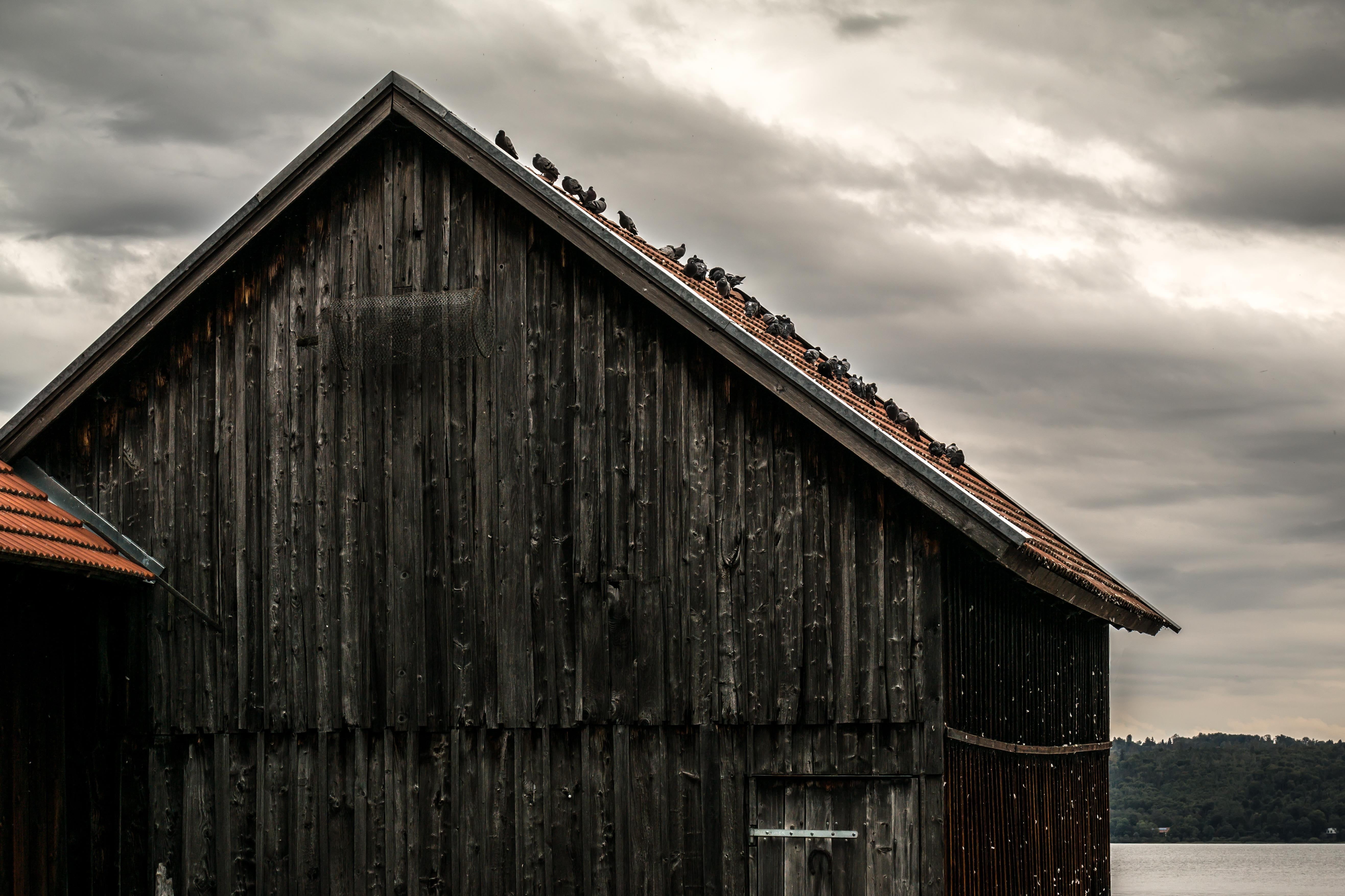 day, wall boards, barn, building exterior, residential district, bavaria, built structure, wooden boards, no people, agricultural building, 5K, tree, house, HD Wallpaper