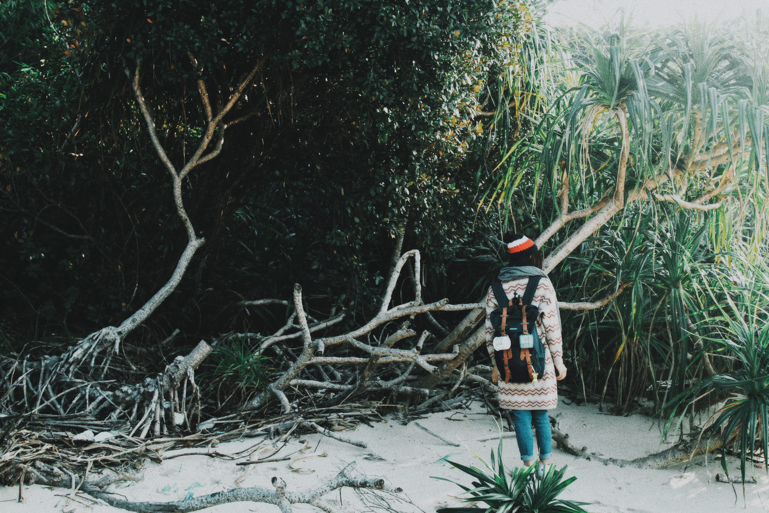 tree, forest, near, day, lost, slatted, backpack, spirituality, standing, outdoors, winter, no people, daytime, field, trees, branch, front, tree trunk, HD Wallpaper