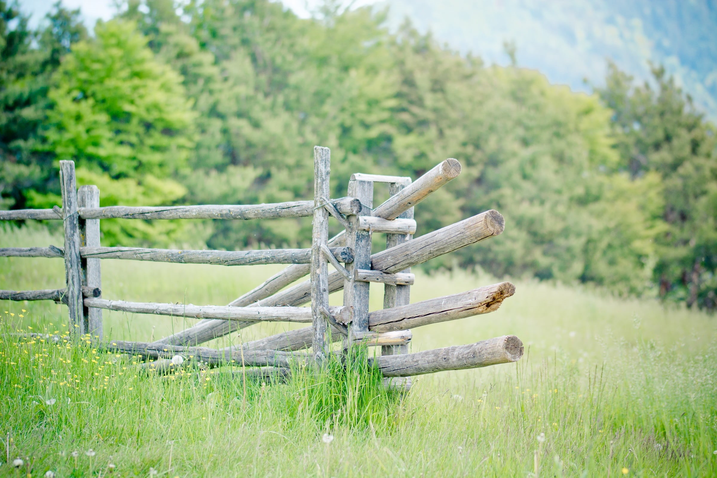 beauty in nature, demarcation, alm, wooden posts, south tyrol, fence, meadow, 1080P, landscape, transverse slats, alpine meadow, tyrolean alps, hike, italy, HD Wallpaper