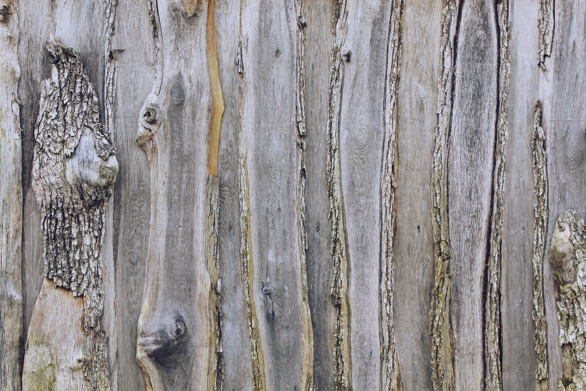 pattern, close, structure, rough, damaged, wall boards, wooden slat, textured, day, weathered, entrance, close-up, grain, wall - building feature, wood - Material, HD Wallpaper