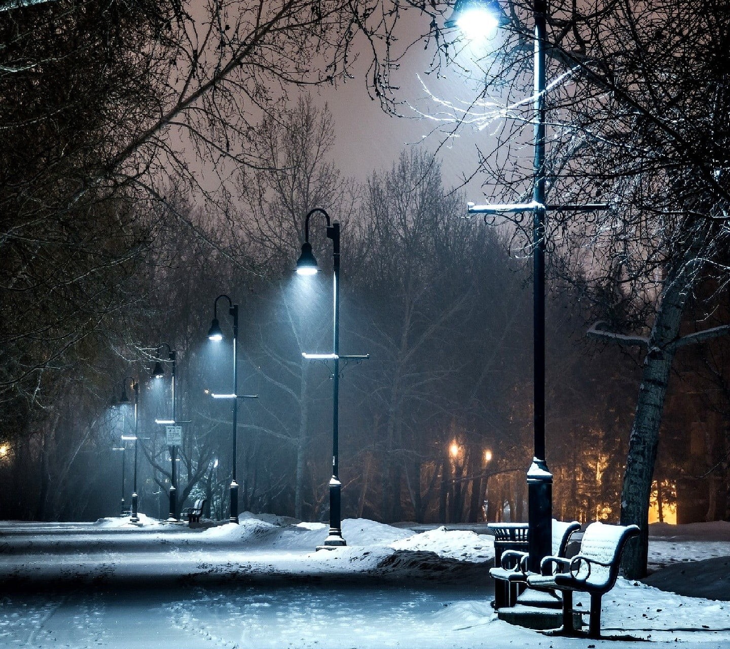 tree, lantern, 720P, concrete, plant, car, night, illuminated, no people, city, road, building, extreme weather, black, snow, transportation, street light, HD Wallpaper