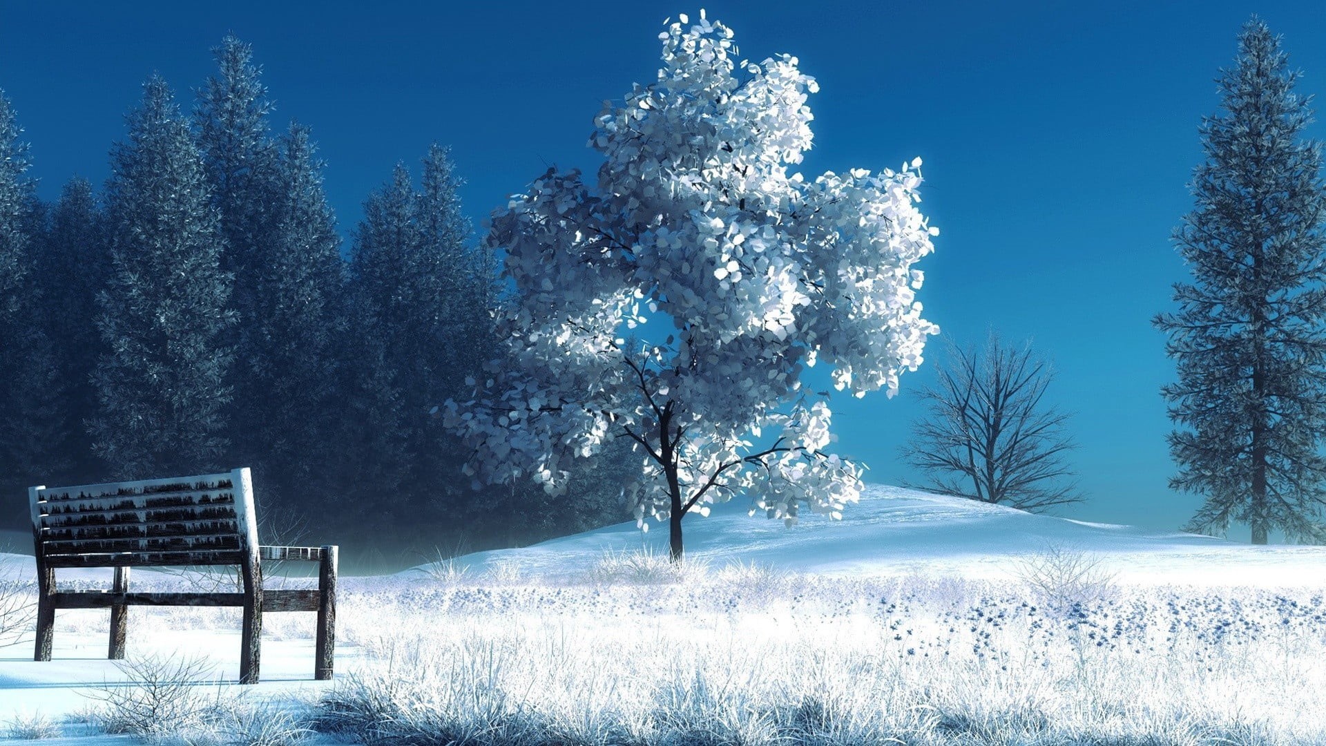 blue, sunlight, wooden, field, no People, branch, outdoors, scenics - nature, morning, snowing, white, 1080P, weather, nature, covering, bench, frozen, HD Wallpaper