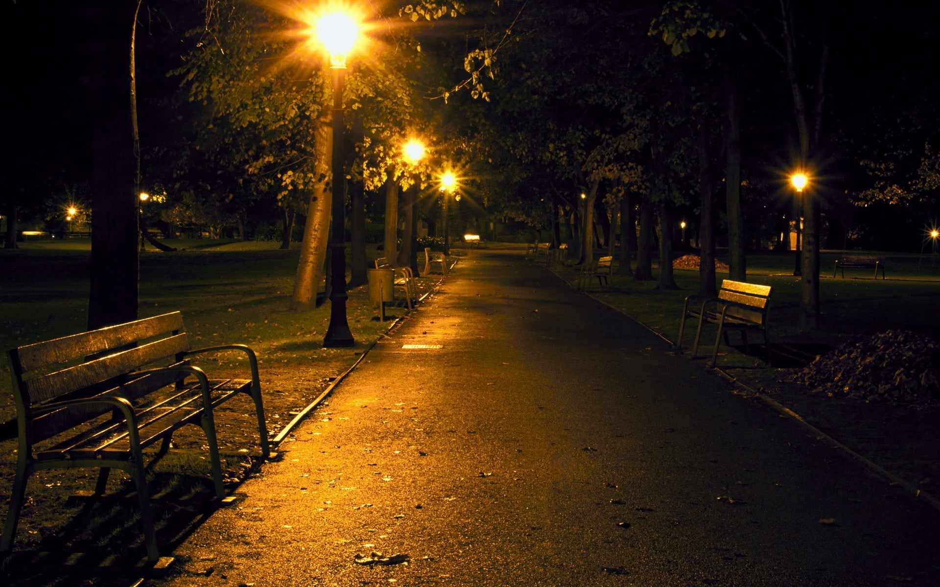 autumn, transportation, forest, brown, empty, lighting Equipment, city, winter, alley, park - Man Made Space, plant, city Life, bench, light, the way forward, HD Wallpaper