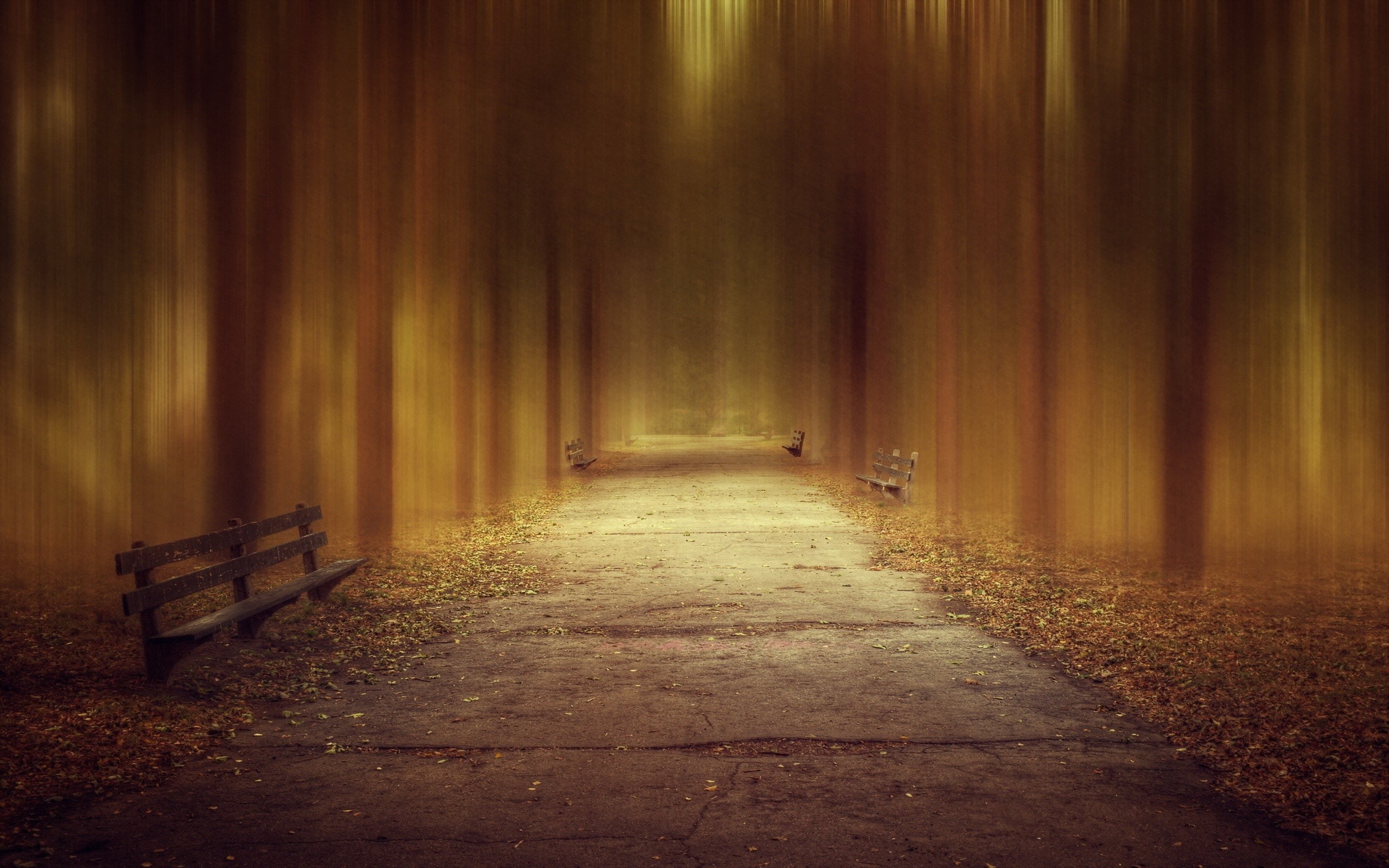 2K, Bench, Park, Design, Road, Trees, HD Wallpaper