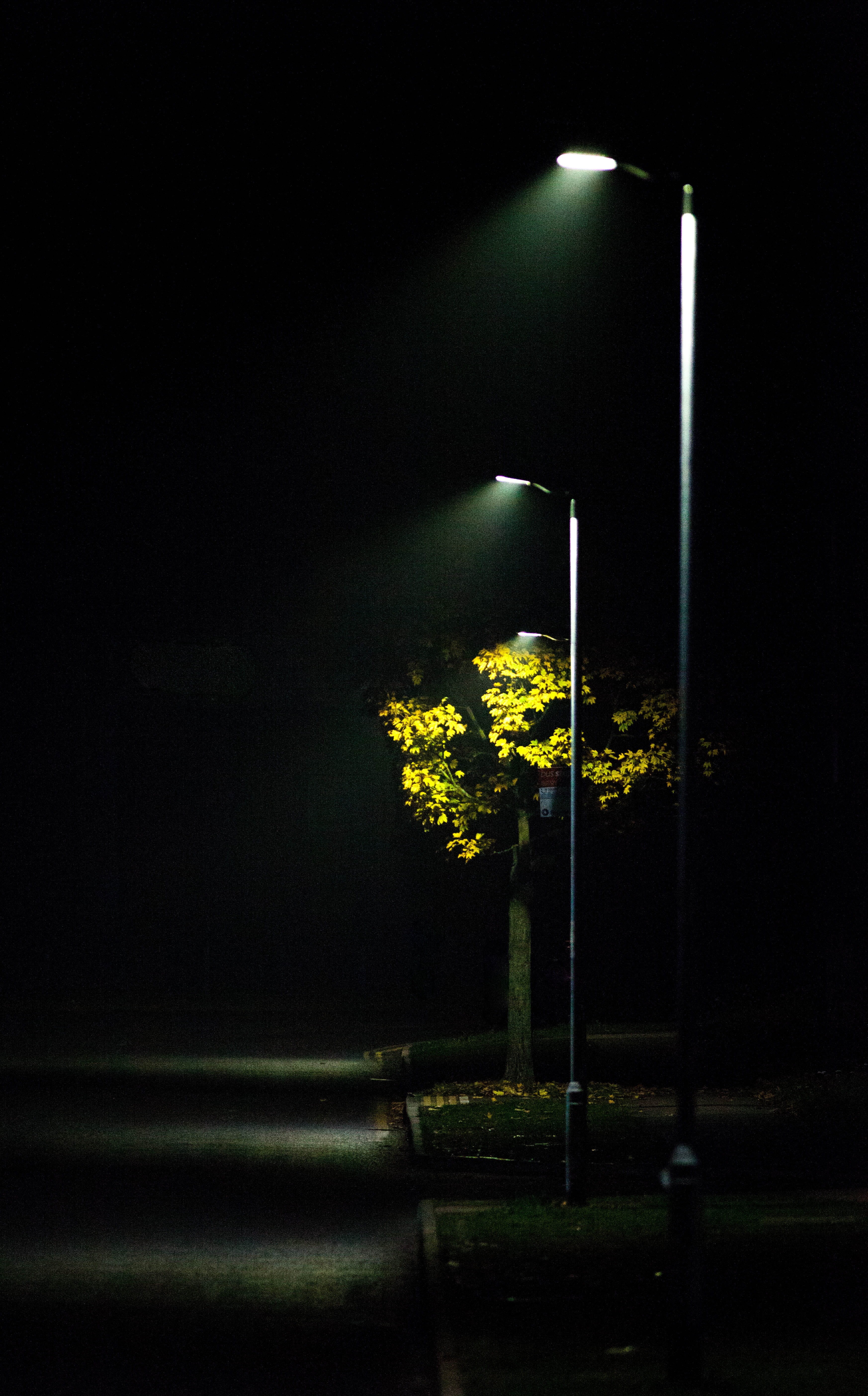 outdoor, nature, 5K, autumn, street light, yellow, entrance, lights, glowing, light, illuminated, lighting equipment, light - natural phenomenon, street, Phone HD Wallpaper
