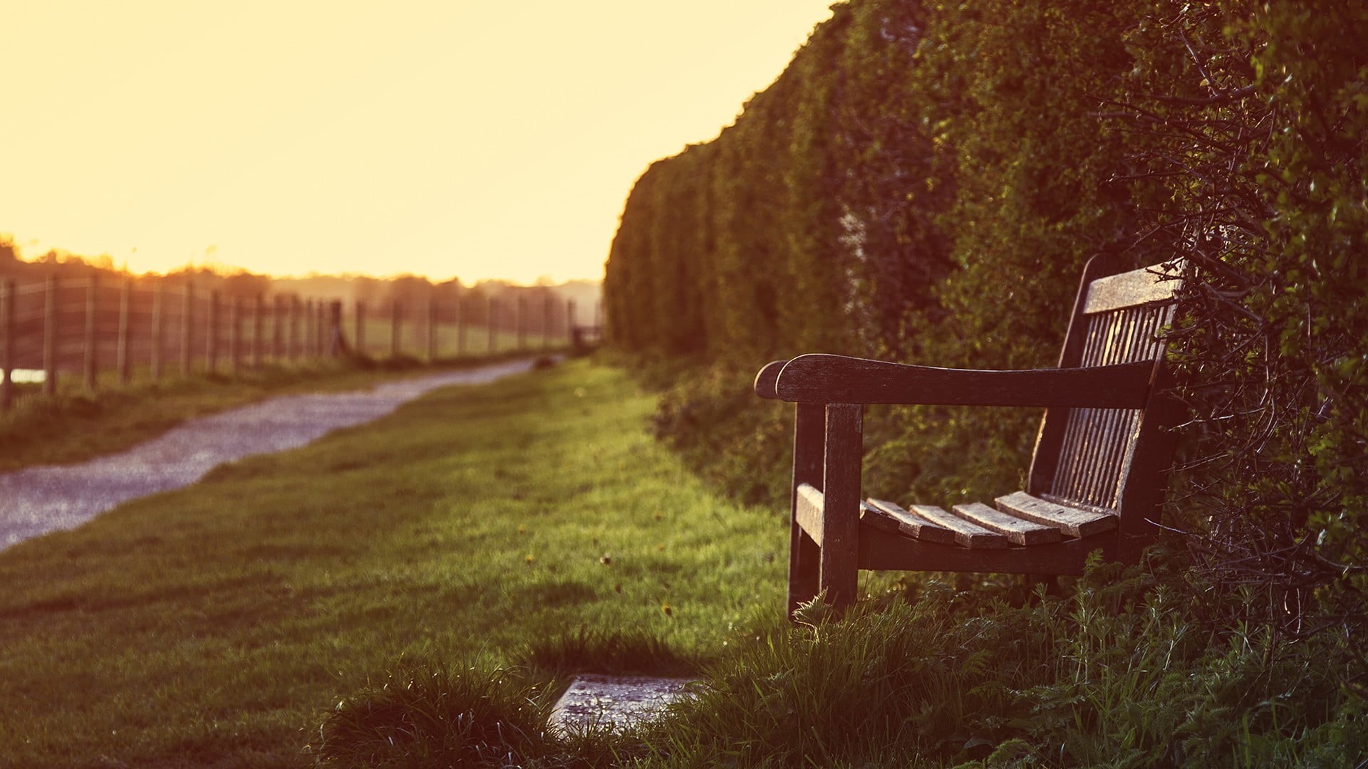wood - material, wooden, seat, absence, landscape, land, field, 1080P, no people, brown, armchair, sunlight, nature, park bench, tranquility, empty, sunset, HD Wallpaper