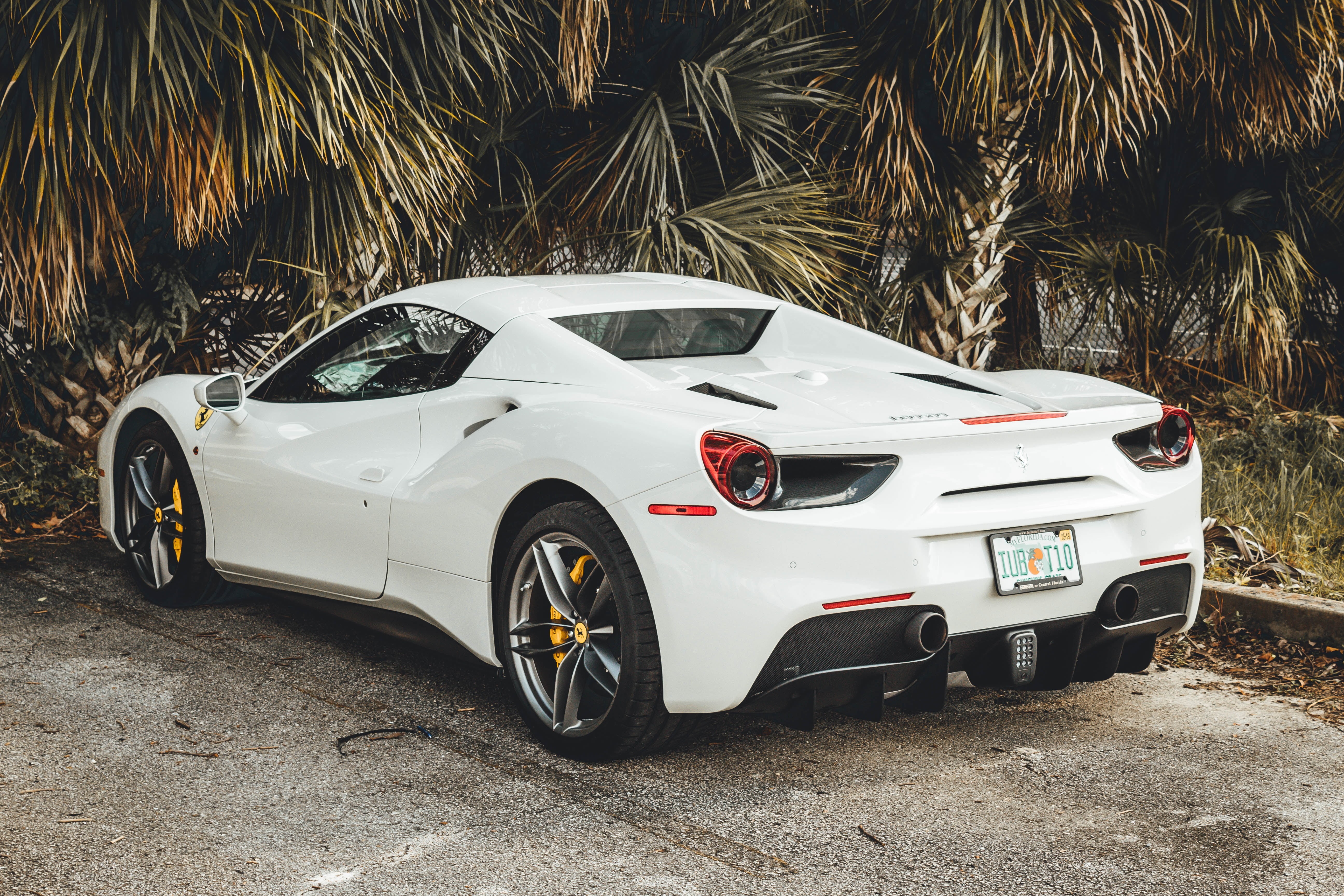 outdoors, white color, plant, stationary, motor vehicle, palm tree, wealth, tropical climate, 5K, day, land vehicle, sports car, white, tree, road, ferrari, HD Wallpaper