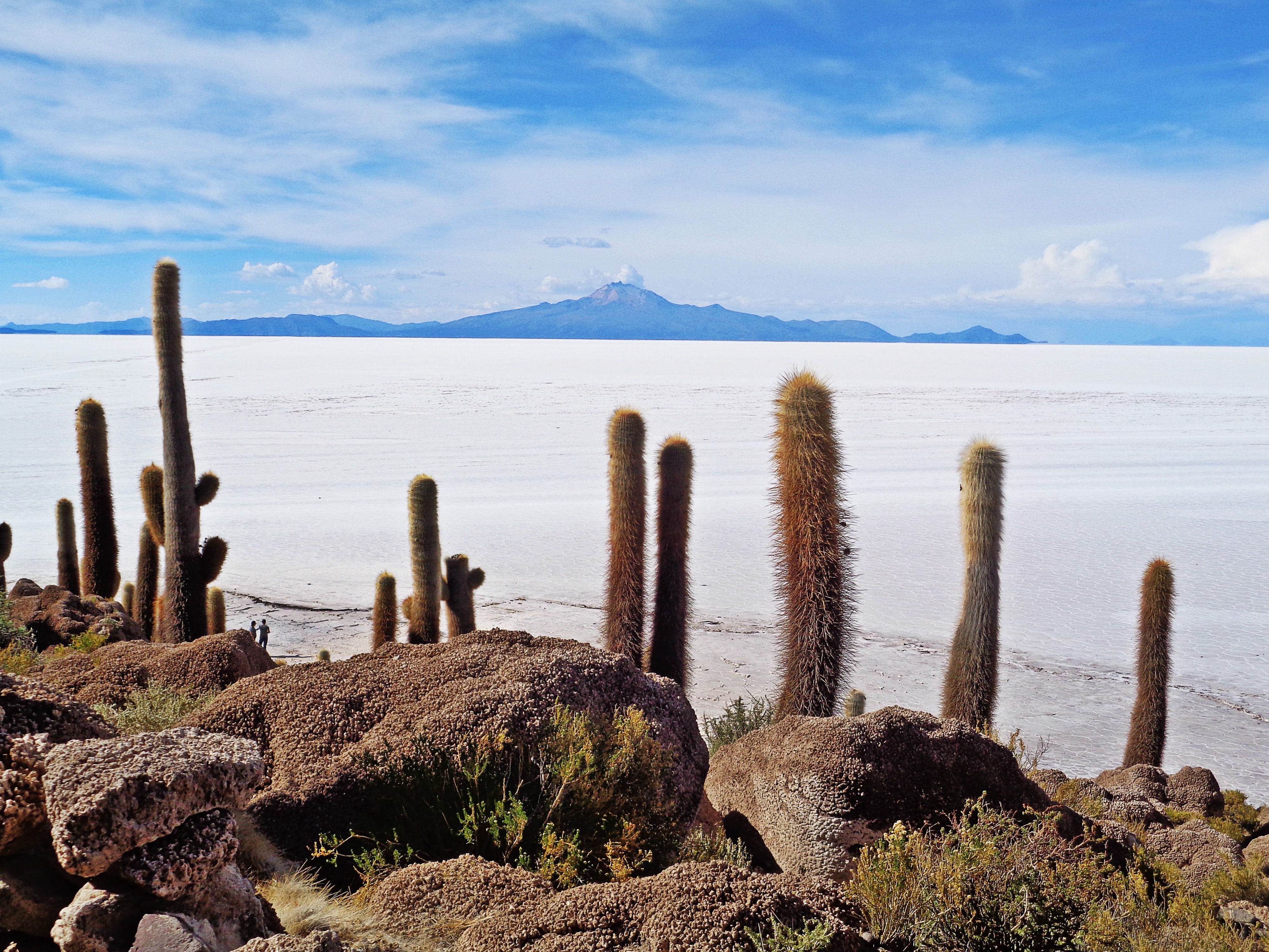 bolivia, salt desert, 4K, growth, mountain, Salar De Uyuni, uyuni, plant, tranquil scene, wooden post, water, Desert, salt flat, nature, scenics - nature, HD Wallpaper