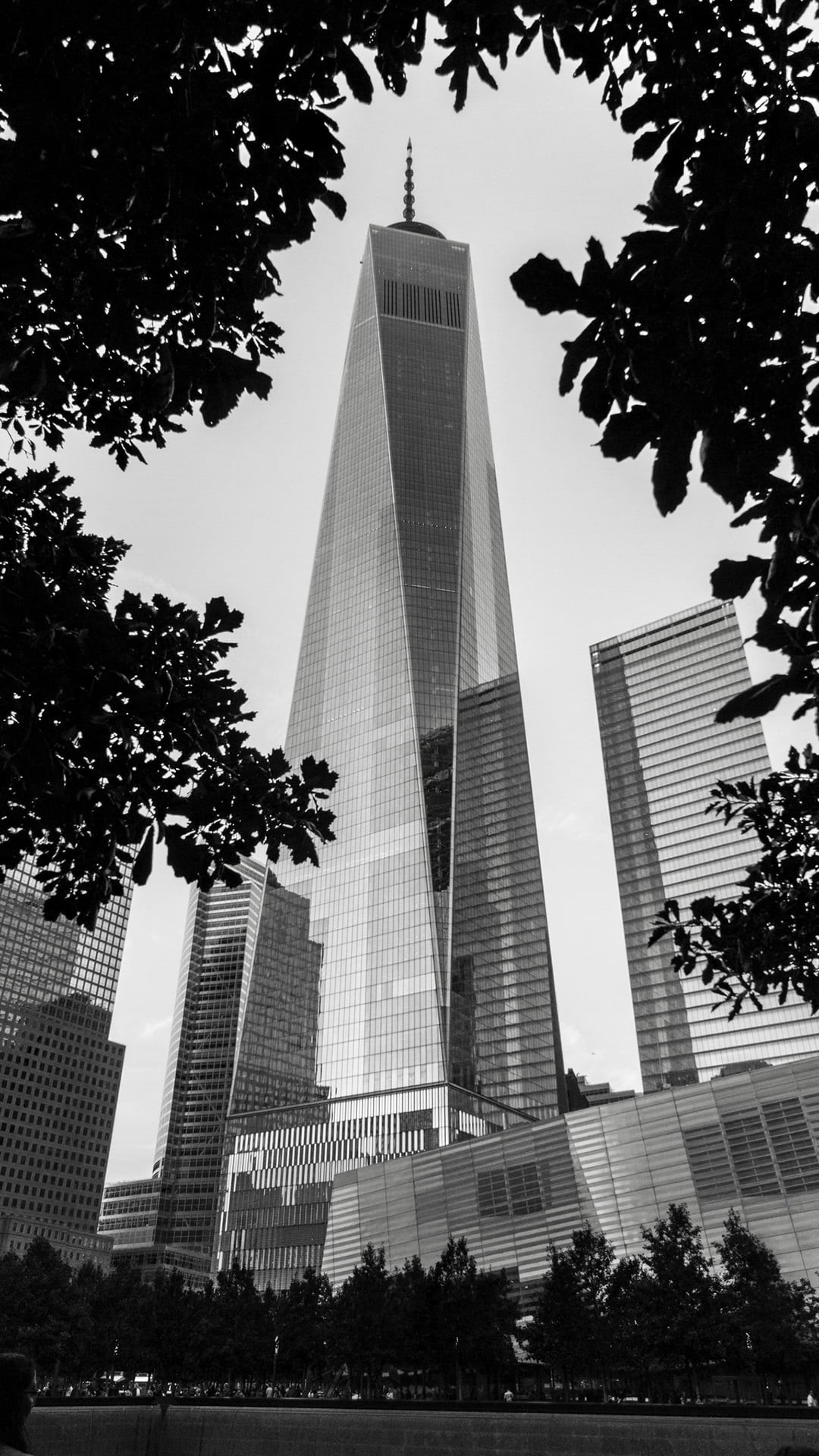 building exterior, leaves, city, portrait display, outdoors, no people, building, trees, modern, One World Trade Center, financial district, architecture, Phone HD Wallpaper