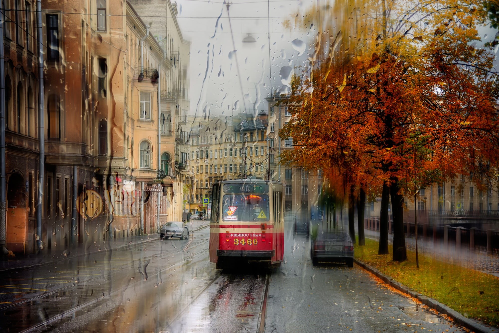 change, nature, tree, rain, day, architecture, water, 1080P, plant, land vehicle, wet, cityscape, built structure, autumn, tram, rainy season, city, incidental people, HD Wallpaper