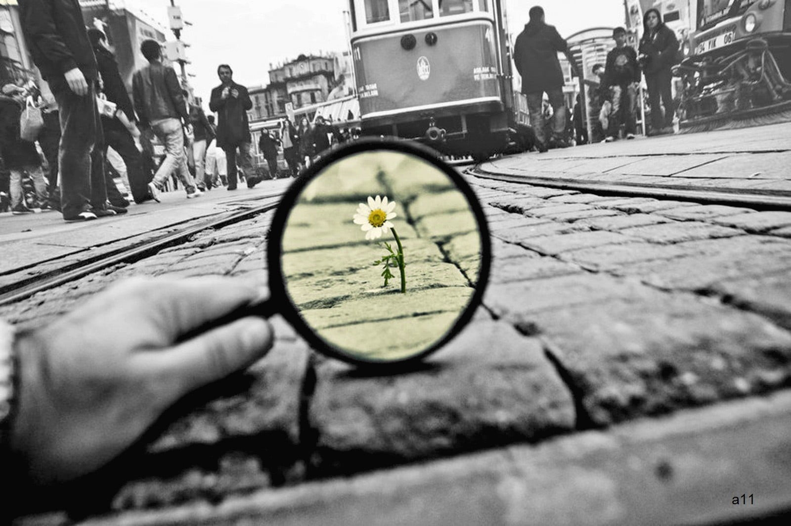 mode of transportation, hand, color, city, selective focus, street, 720P, lifestyles, incidental people, photo, flower, outdoors, paving stone, nature, HD Wallpaper