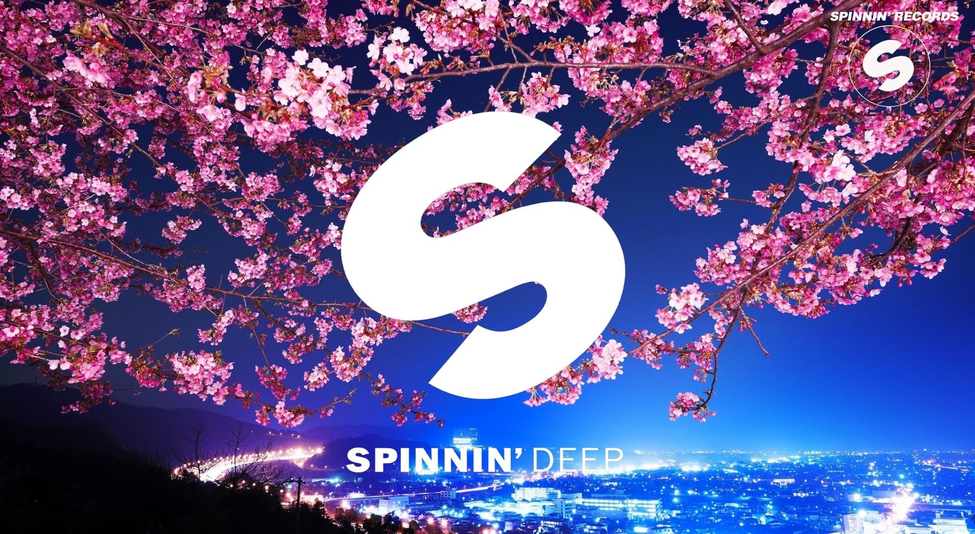 spinn, outdoors, digital composite, spinnin records logo, deep, branch, records, flower, vulnerability, nature, close-up, plant, spinnin records, growth, HD Wallpaper