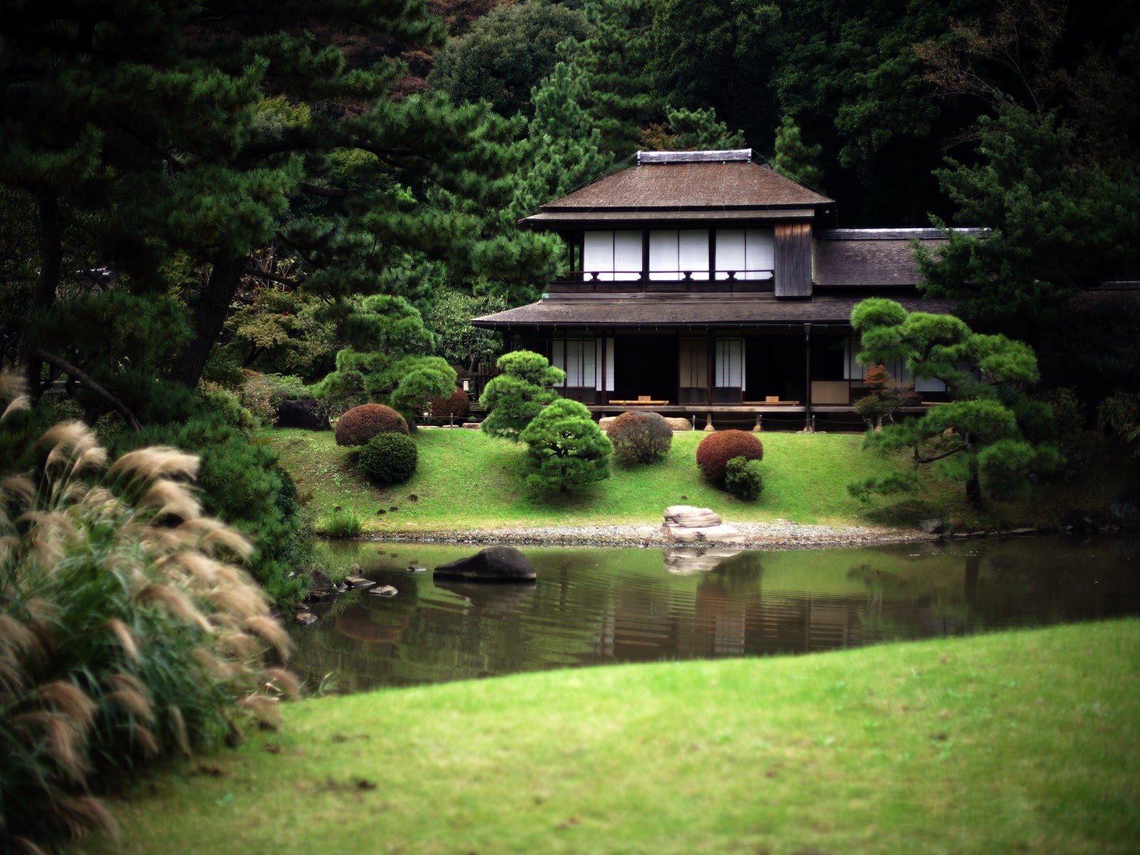 growth, lake, water, Japan, 720P, garden, reflection, building exterior, built structure, architecture, outdoors, plant, tree, day, green color, japanese garden, HD Wallpaper