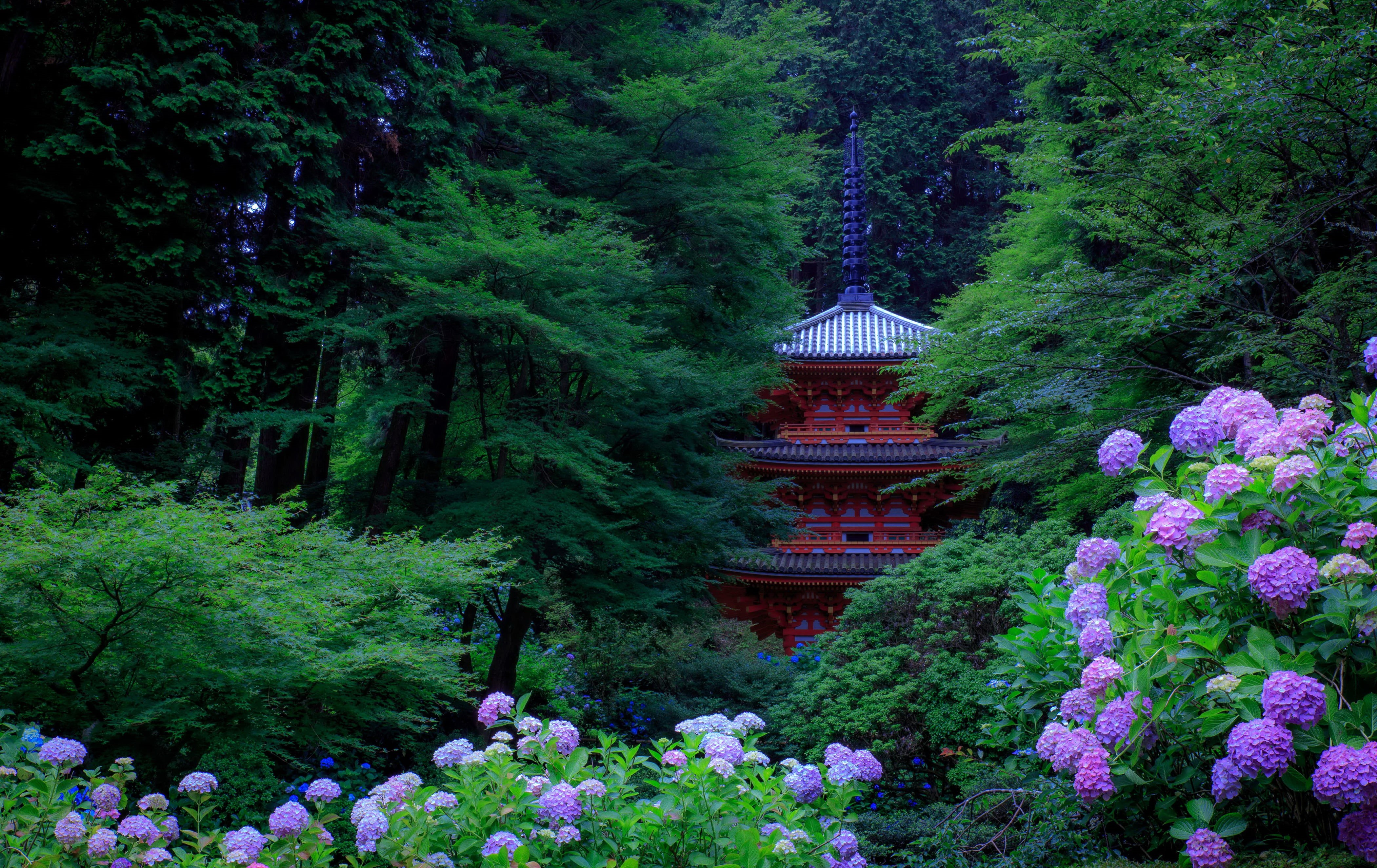 scenics, tree, pavilion, mountain, buddhism, no people, tranquil Scene, plant, shrine, green Color, cultures, landscape, forest, growth, temple - Building, HD Wallpaper