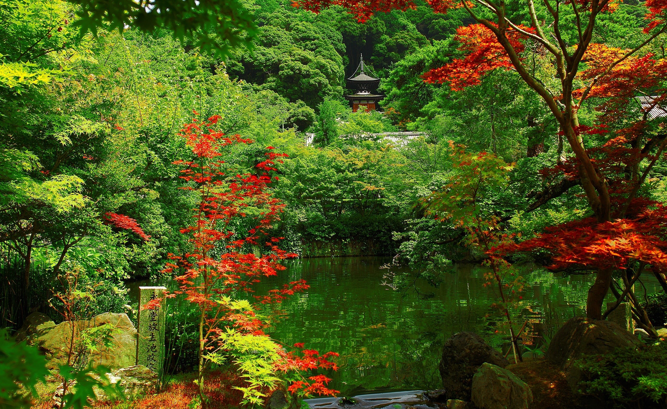 tranquility, forest, pagoda, green color, 2K, no people, nice, grey, garden, water, beauty in nature, tranquil scene, lush foliage, Japan, outdoors, growth, HD Wallpaper