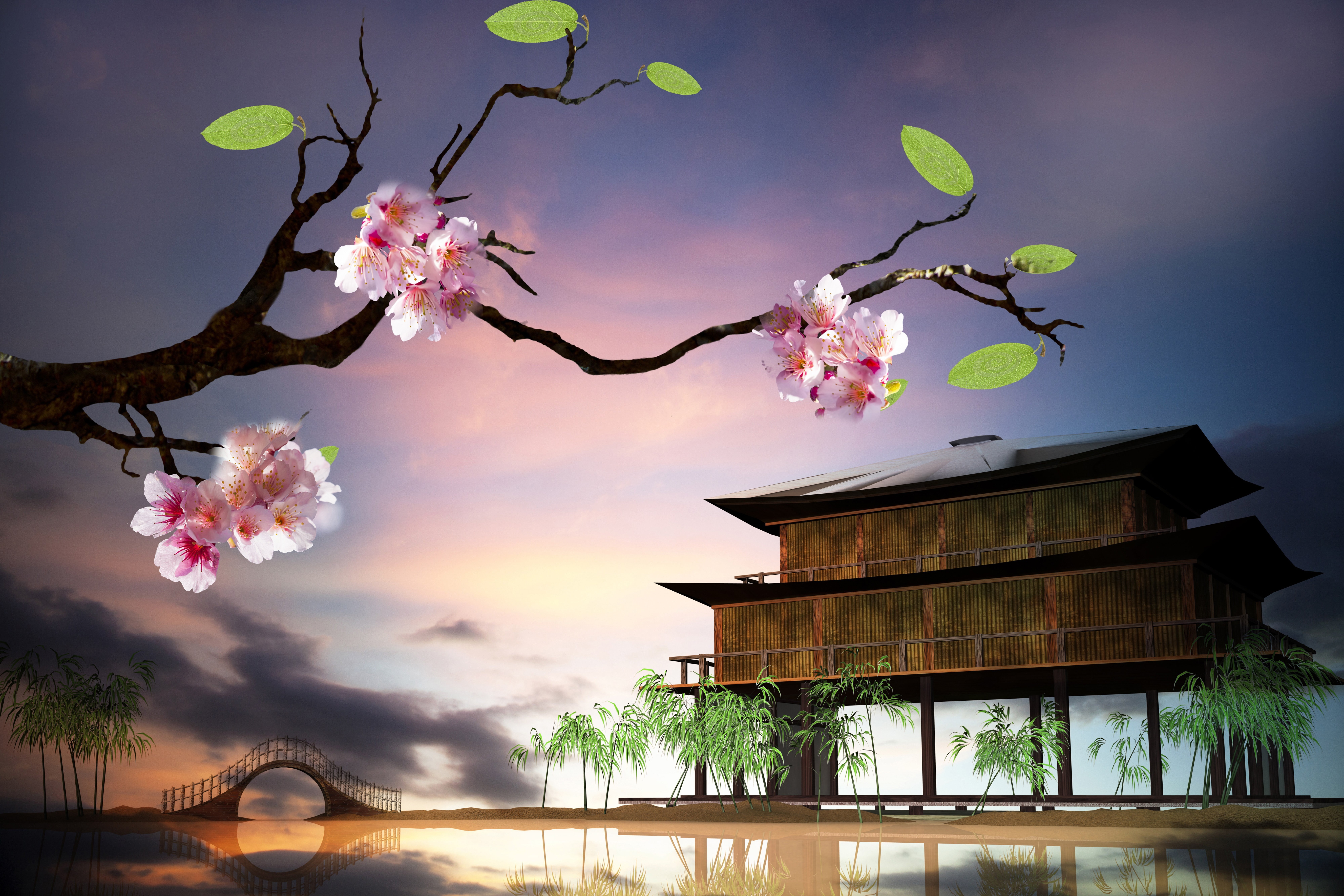 wood - Material, no People, cherry Blossom, brown, built structure, house, asia, architecture, blue, formal Garden, pink, japanese Culture, cultures, tree, HD Wallpaper