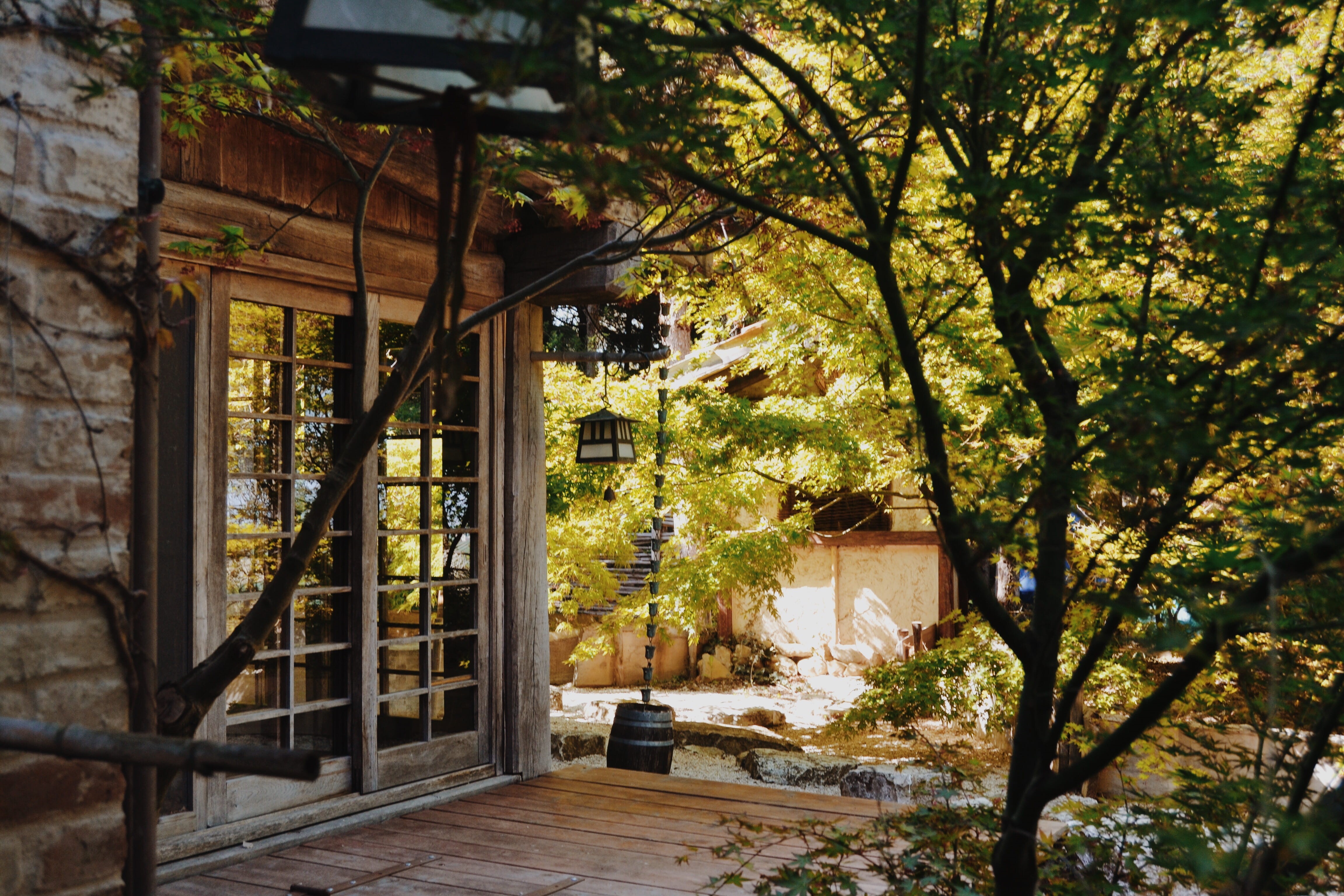 architecture, japanese lantern, vegetation, door, sunlight, absence, japan, nature, home, plants, italy, lantern, branch, 4K, open, wood - material, zen, HD Wallpaper