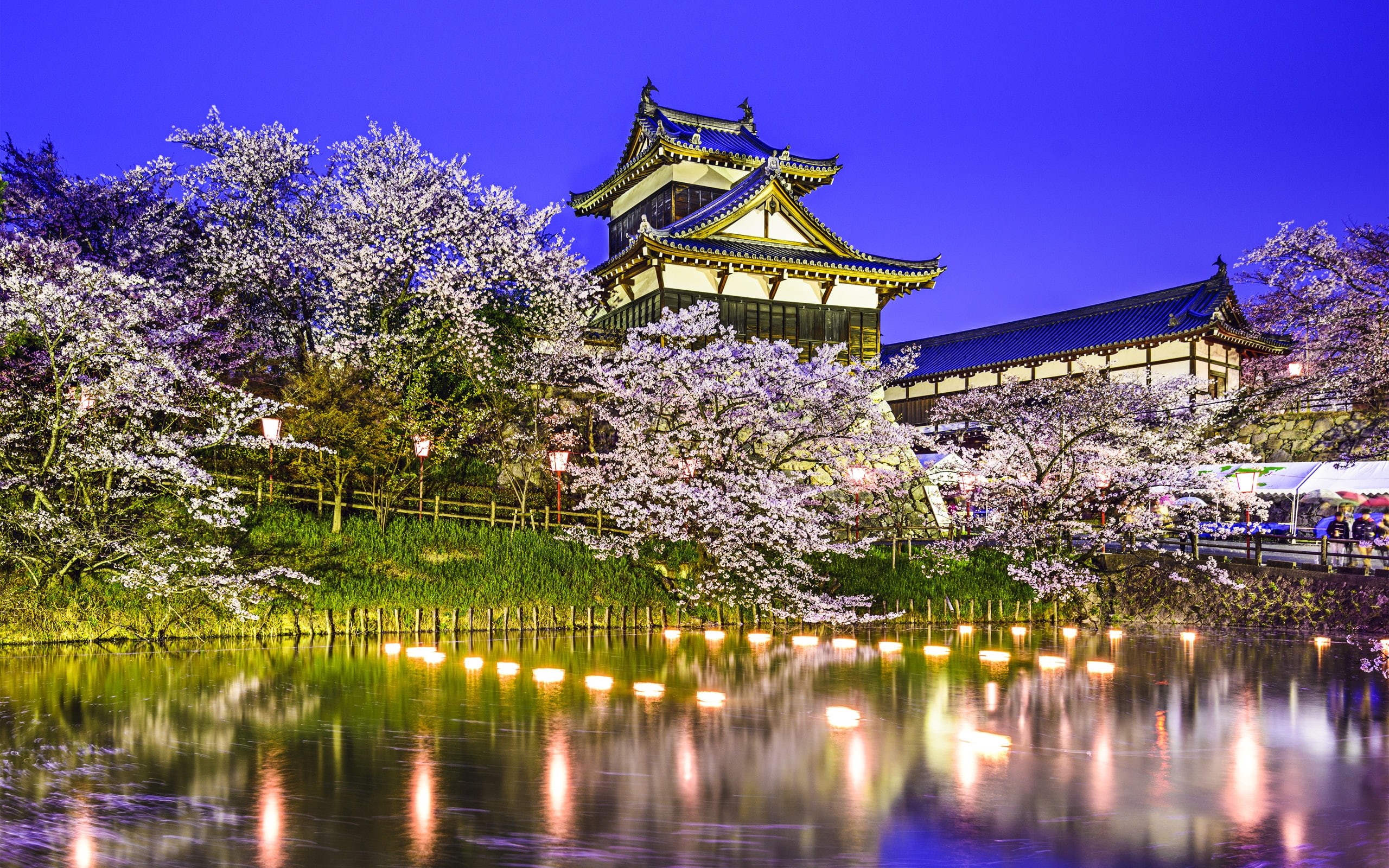 Pond, Japan, Koriyama, Cherry, Castle, Trees, Yamatokoriyama, Night, 2K, HD Wallpaper