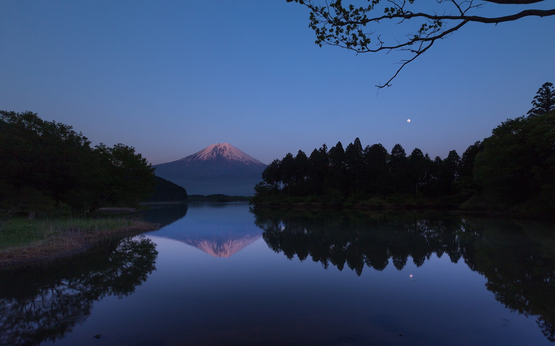 tranquil scene, idyllic, lake, clear sky, no people, tranquility, plant, beauty in nature, mountain, waterfront, Lake Tanuki, Mount Fuji, 1080P, reflection, HD Wallpaper