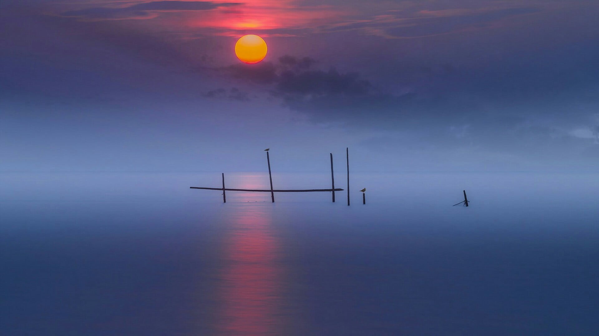 sun, horizon over water, cloud - sky, birds, nautical vessel, transportation, afterglow, 1080P, nature, sailboat, reflection, water, calm, silhouette, HD Wallpaper