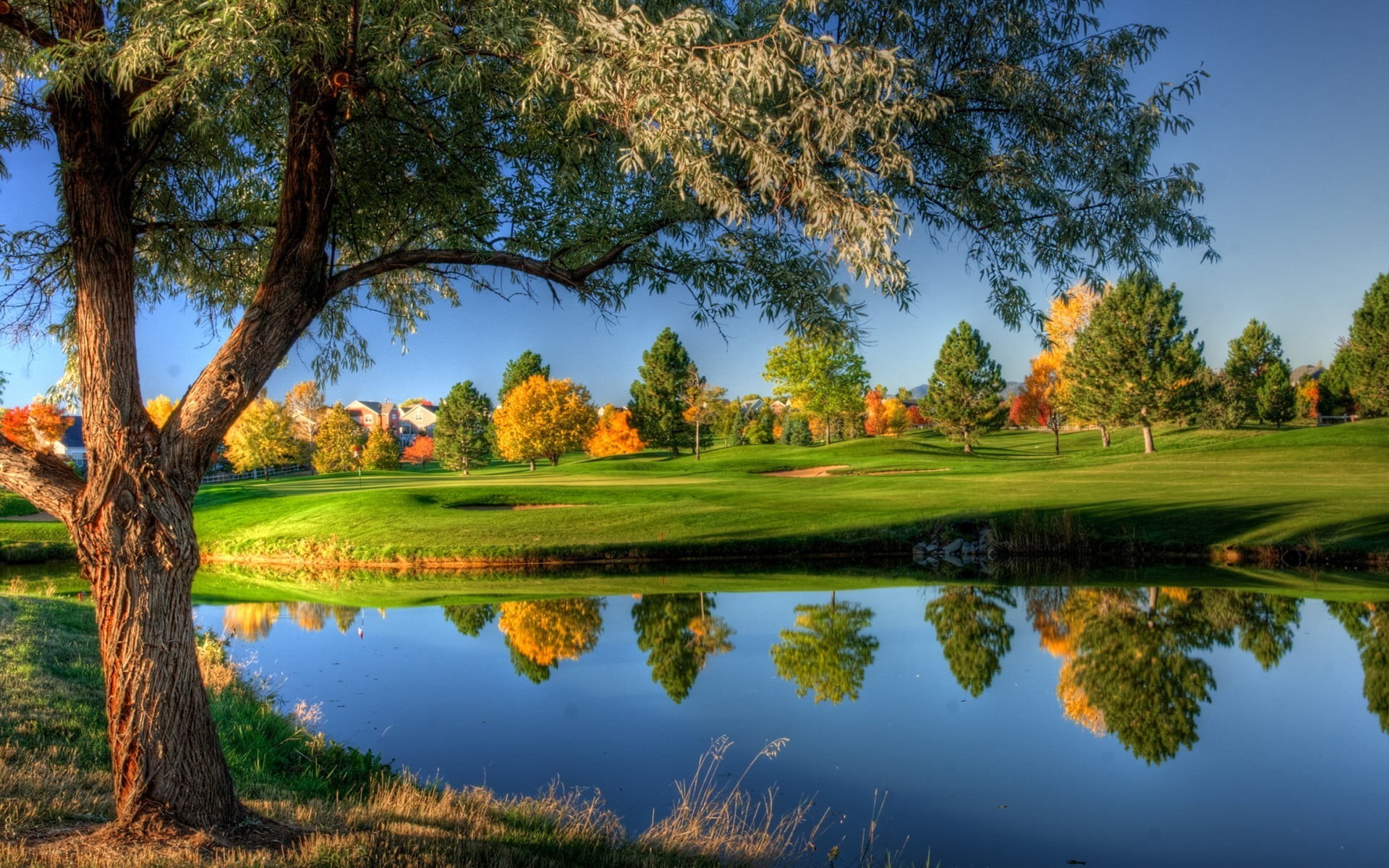 tranquil scene, activity, green color, plant, sky, reflection, golf course, water, lake, golf, beside, green, growth, landscape, leafy, tranquility, outdoors, HD Wallpaper