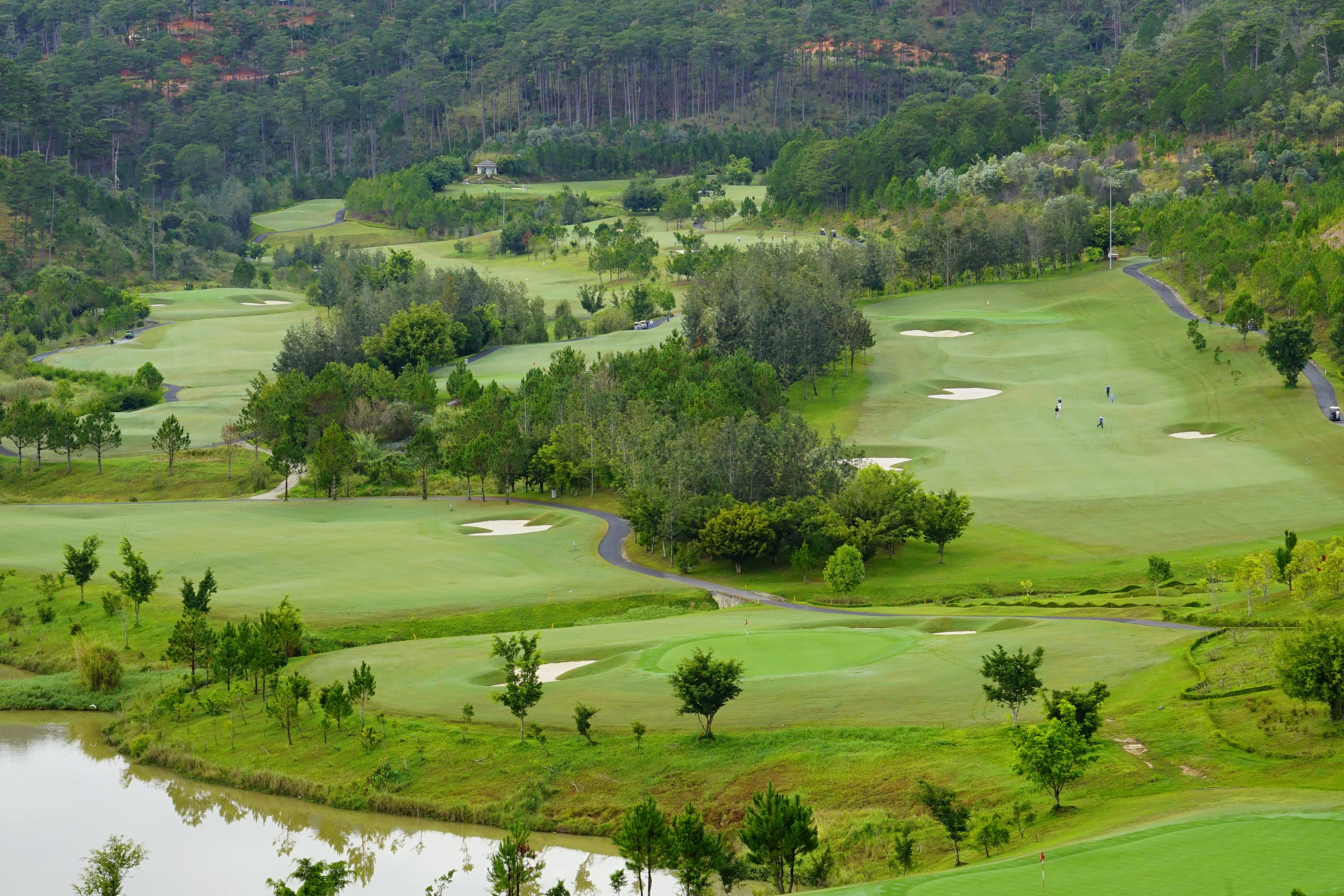 no people, golf course, the countryside, green - golf course, beauty in nature, high angle view, activity, natural, plant, environment, grass, 4K, golf, HD Wallpaper
