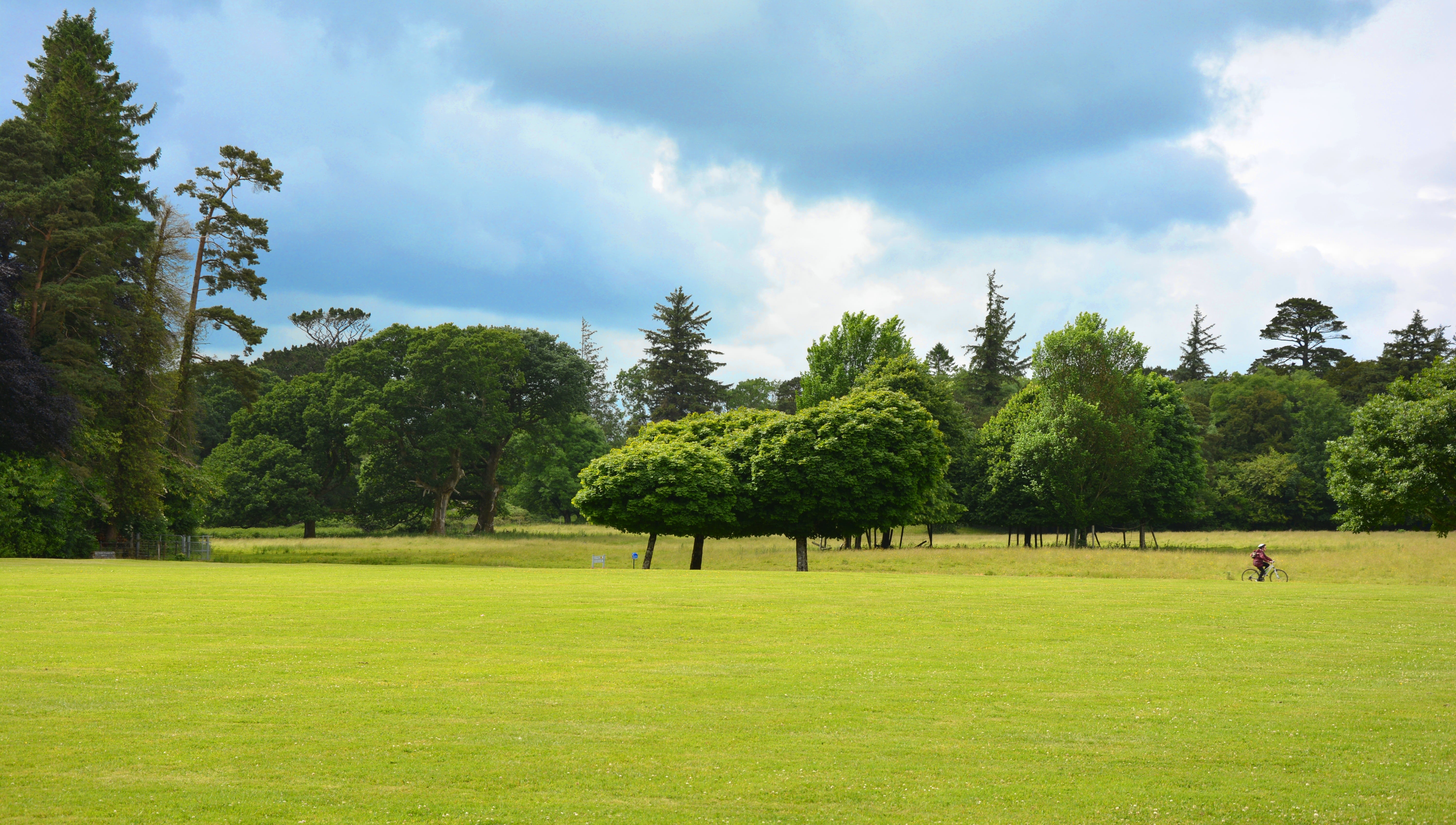 trees, day, landscape, sky, scenics - nature, field, rain clouds, English Garden, sport, plant, tranquil scene, land, park, meadow, cloud - sky, green - golf course, HD Wallpaper