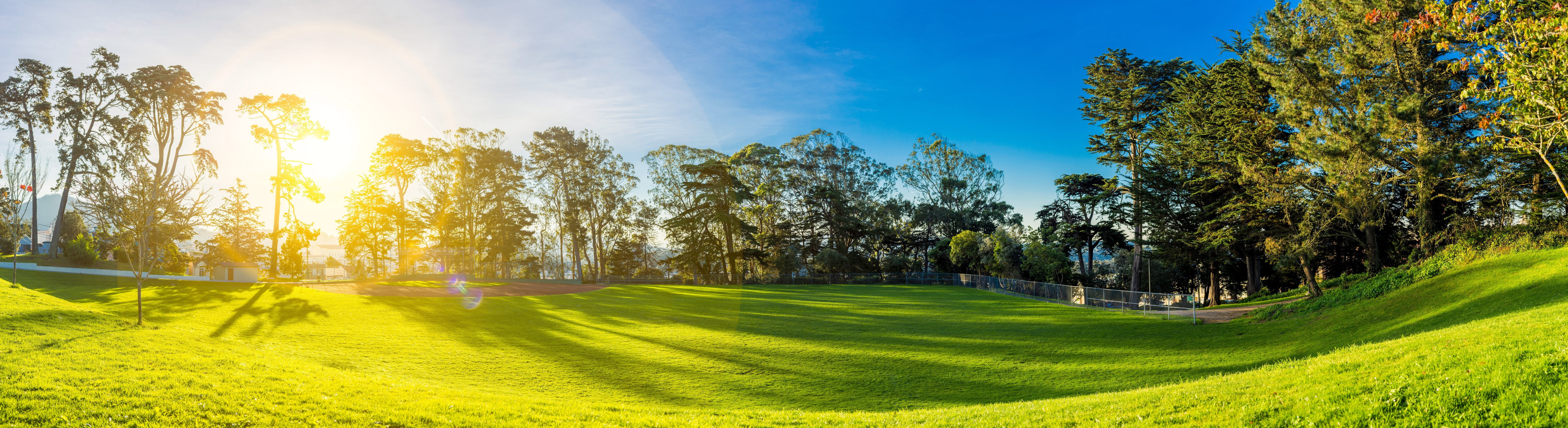 multiple display, tree, putting green, landscape, outdoors, scenics - nature, nature, lens flare, turf, plant, sport, golf, leisure activity, no people, HD Wallpaper