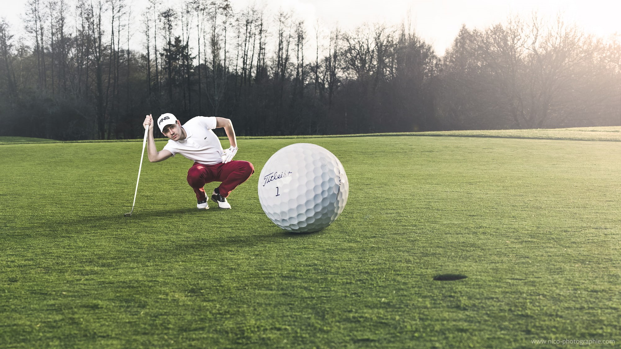 green color, ball, golf ball, leisure activity, 1080P, sport, lifestyles, one person, men, humor, plant, real people, nature, golf course, grass, tree, HD Wallpaper