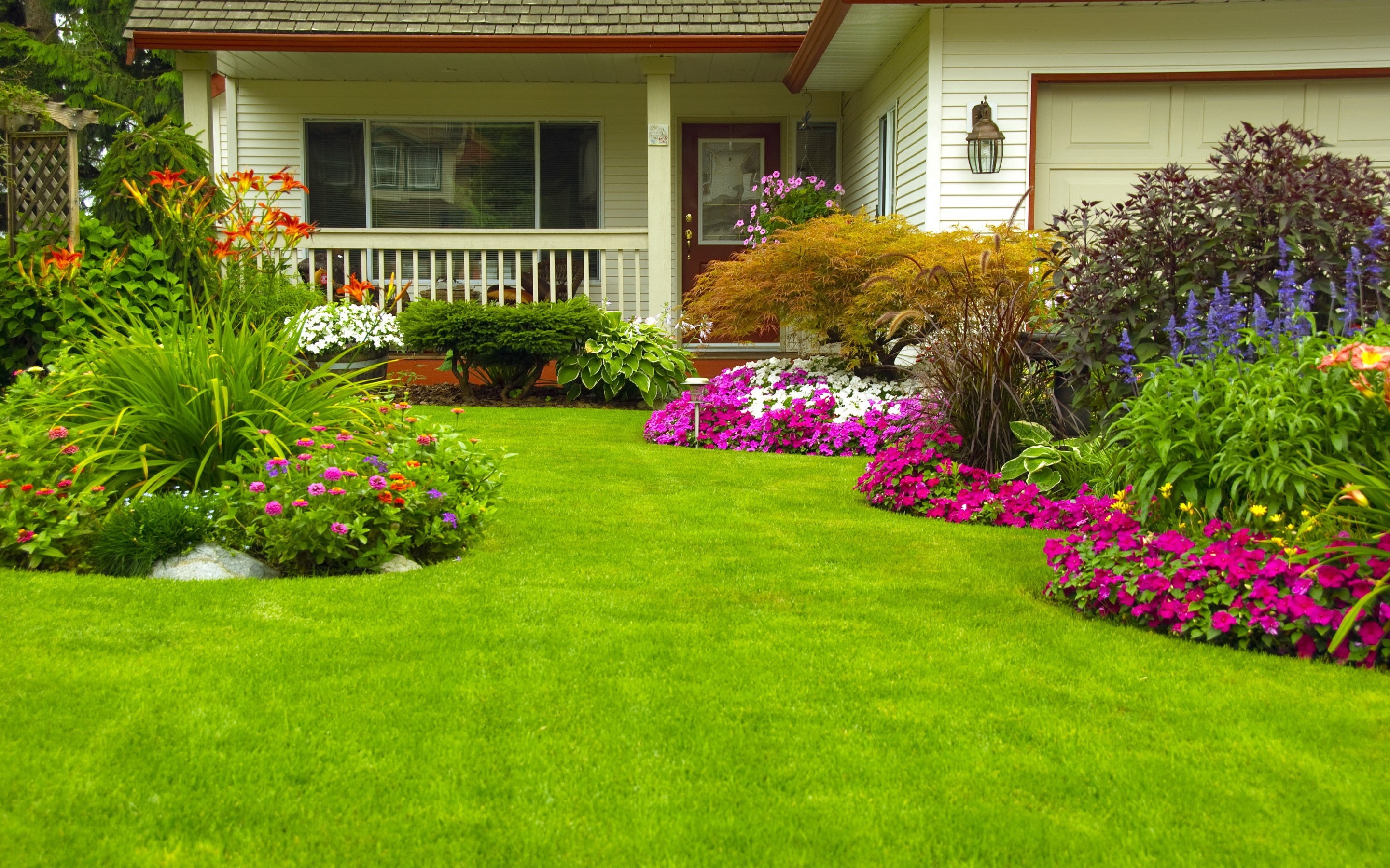 Zinnia, garden, home, greens, Petunia, lawn, 2K, grass, green, flowers, shrubs, grassfield, HD Wallpaper