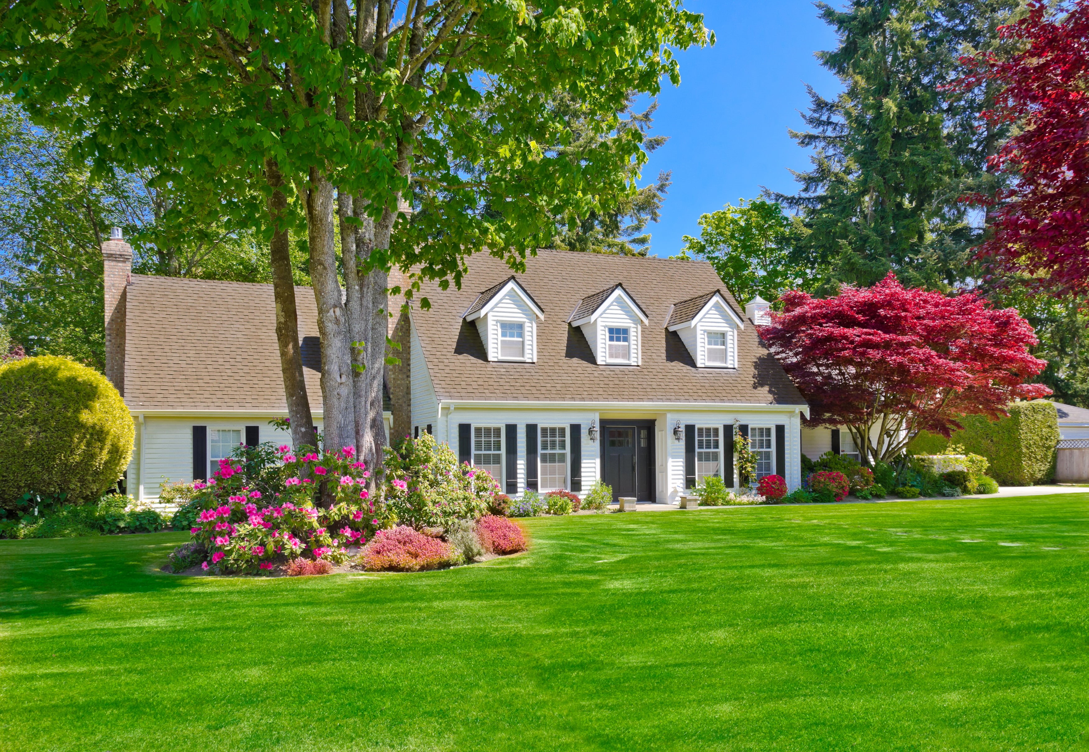 summer, greens, sky, new, flowers, the sun, landscaped, ornamental garden, green Color, modern, architecture And Buildings, lawn, middle Class, day, trees, HD Wallpaper