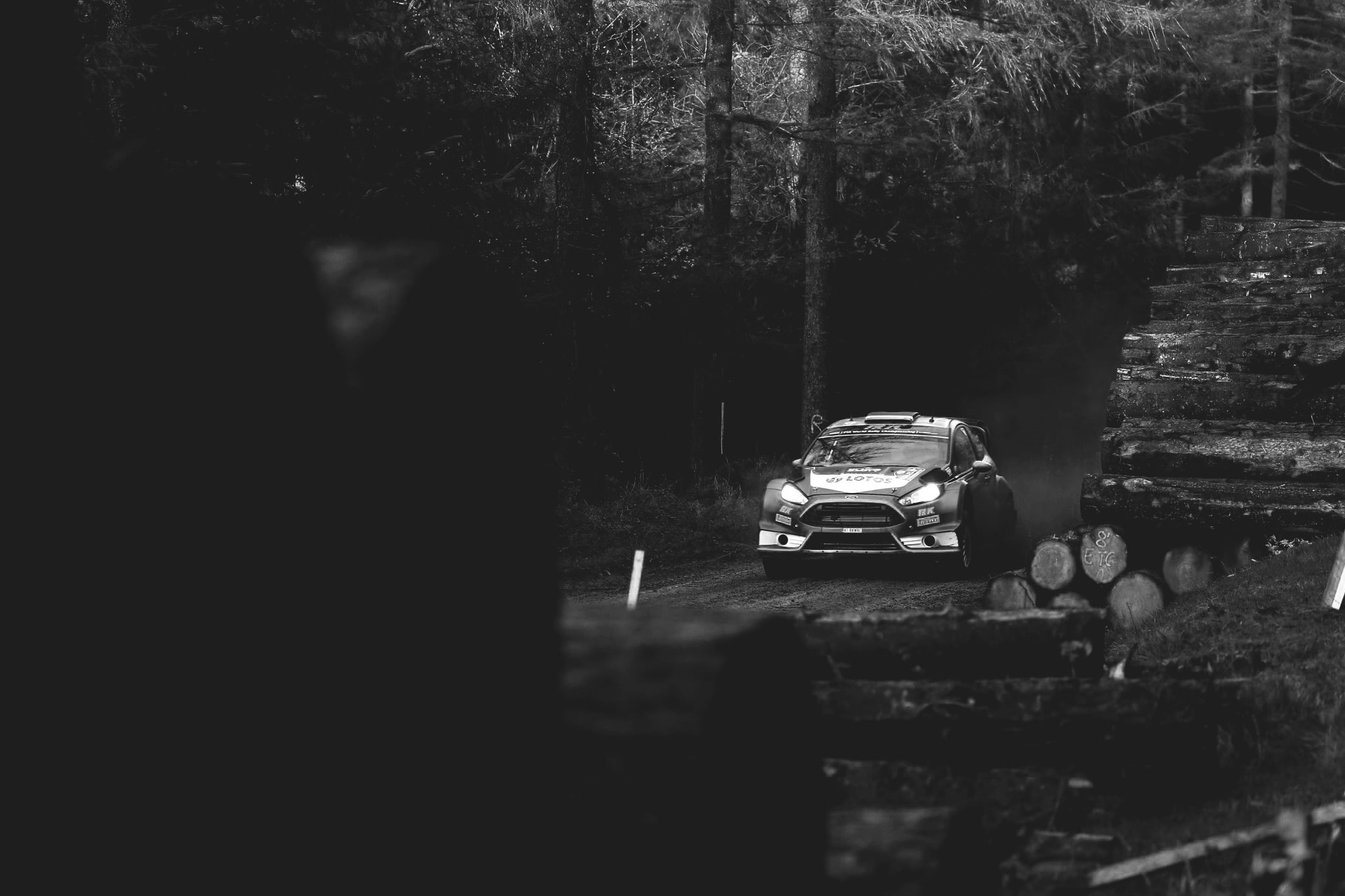 on the move, outdoors, mode of transportation, no people, motion, 1080P, motor vehicle, tree, street, land, car, selective focus, wrc, focus on background, HD Wallpaper