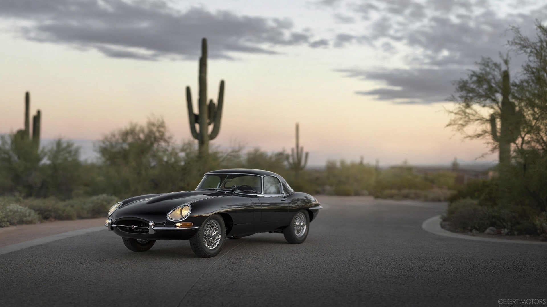 day, cactus, sunset, city, mode of transportation, 1080P, land vehicle, road, plant, car, sky, luxury, street, road trip, transportation, focus on foreground, HD Wallpaper