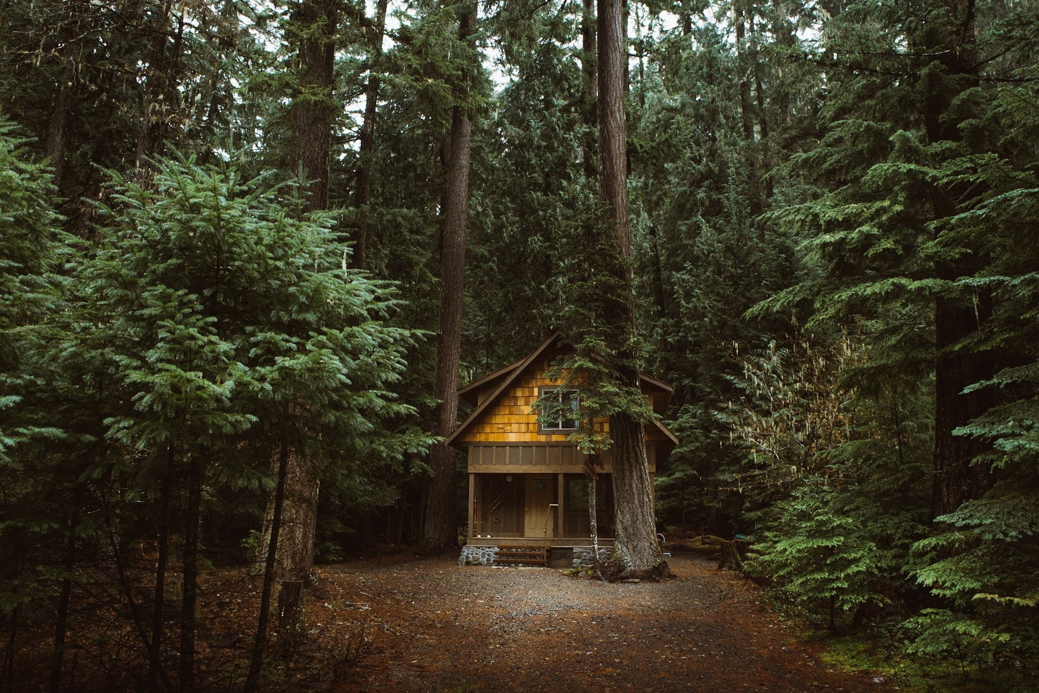 nature, tree, green color, cottage, tranquility, brown, plant, no people, forest, house, hut, woodland, outdoors, built structure, land, architecture, tree trunk, HD Wallpaper