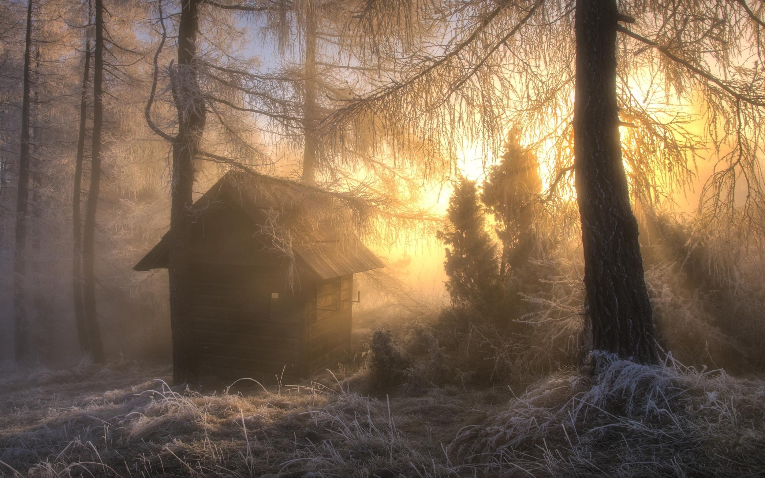 non-urban scene, no people, built structure, trees, nature, snow, forest, tranquility, surrounded, painting, outdoors, hut, cabin, winter, architecture, HD Wallpaper