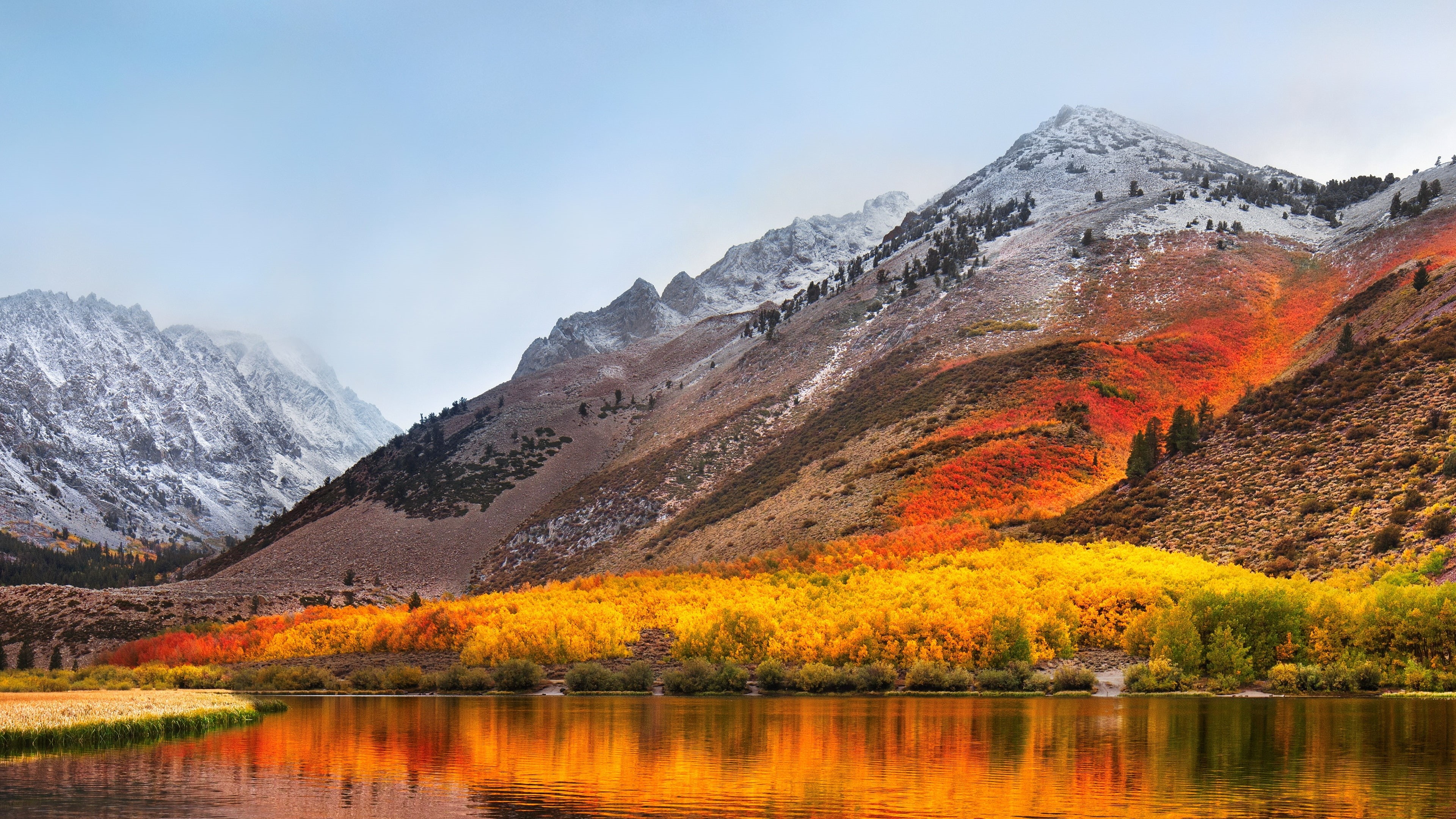 macos high sierra 4k  new hd, 4K, HD Wallpaper
