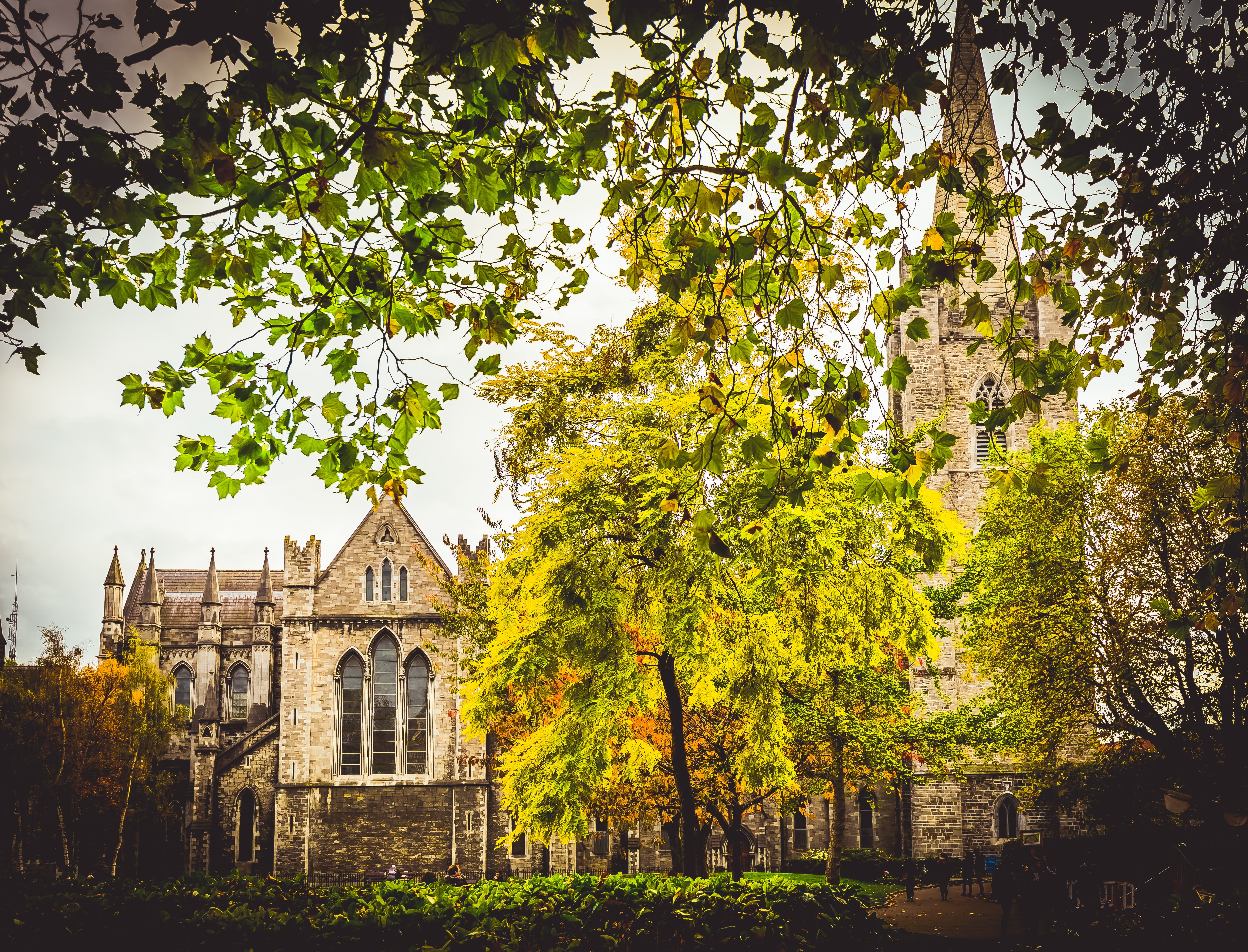 sky, history, place of worship, tree, belief, fall, plant, architecture, ireland, outdoors, built structure, growth, nature, the past, religion, no people, HD Wallpaper