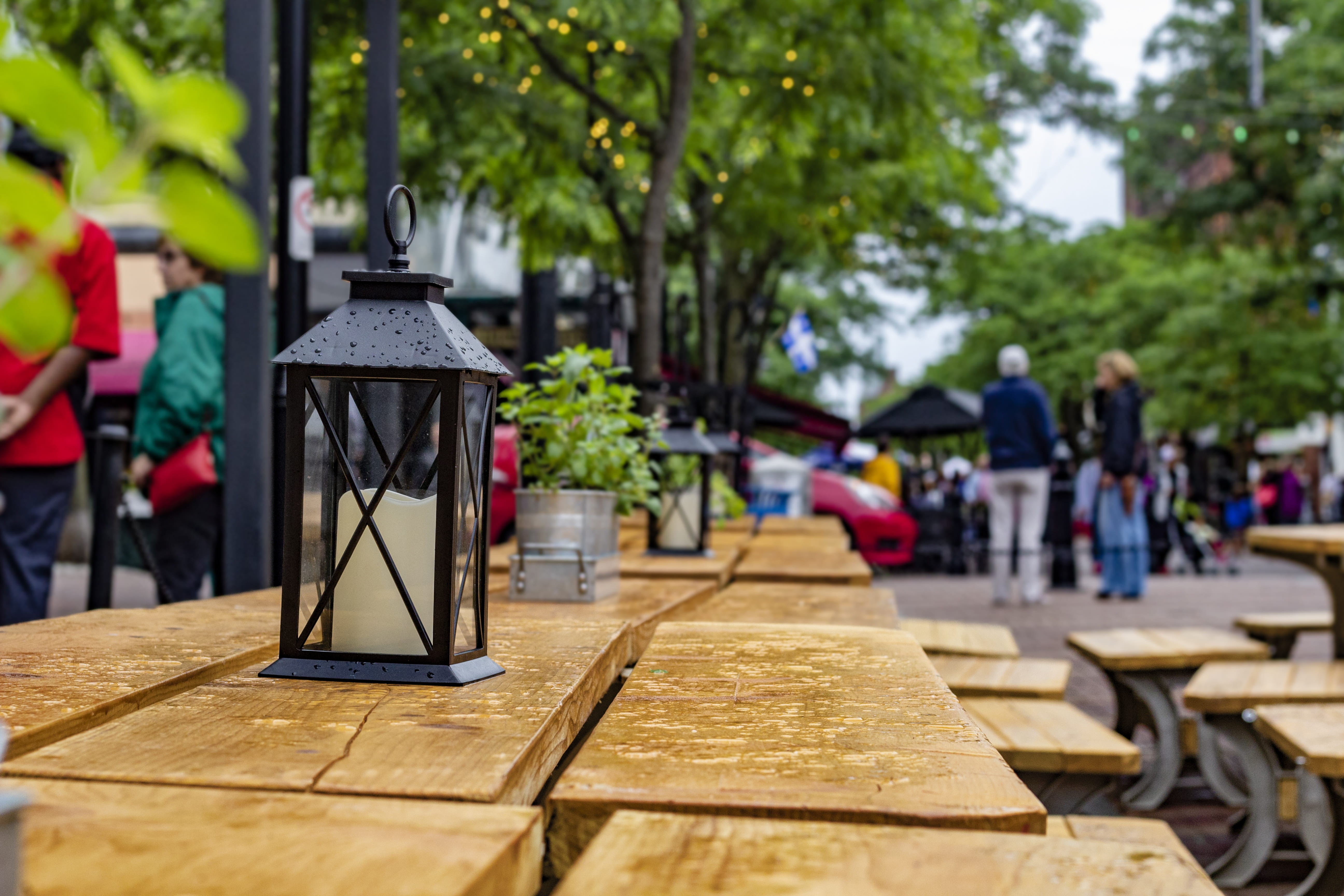 tree, lamp, bench, 5K, cafe, lights, day, nature, chair, wood - material, outdoors, burlington, table, lampshade, plant, park, chruch street marketplace, HD Wallpaper