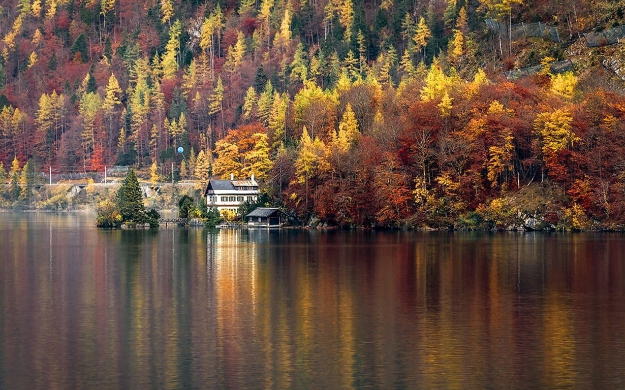 Austria, autumn collection, water, Hallstatt, tree, lake, beauty in nature, outdoors, tranquil scene, no people, waterfront, autumn, idyllic, day, scenics - nature, HD Wallpaper