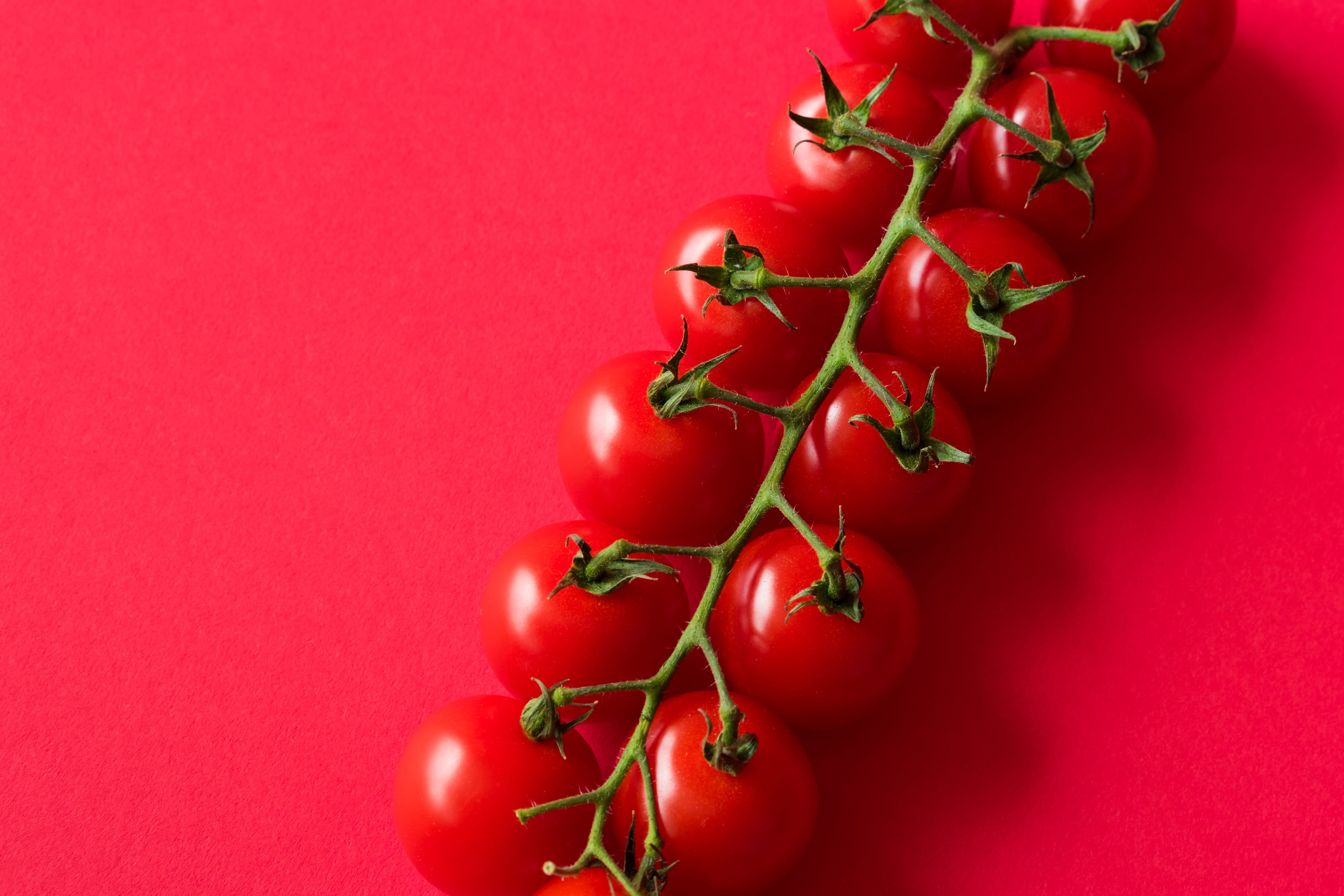 cherry tomatoes, background, studio shot, plant stem, close-up, food, freshness, top, no people, tomato, colored background, health, vegetables, fresh, HD Wallpaper