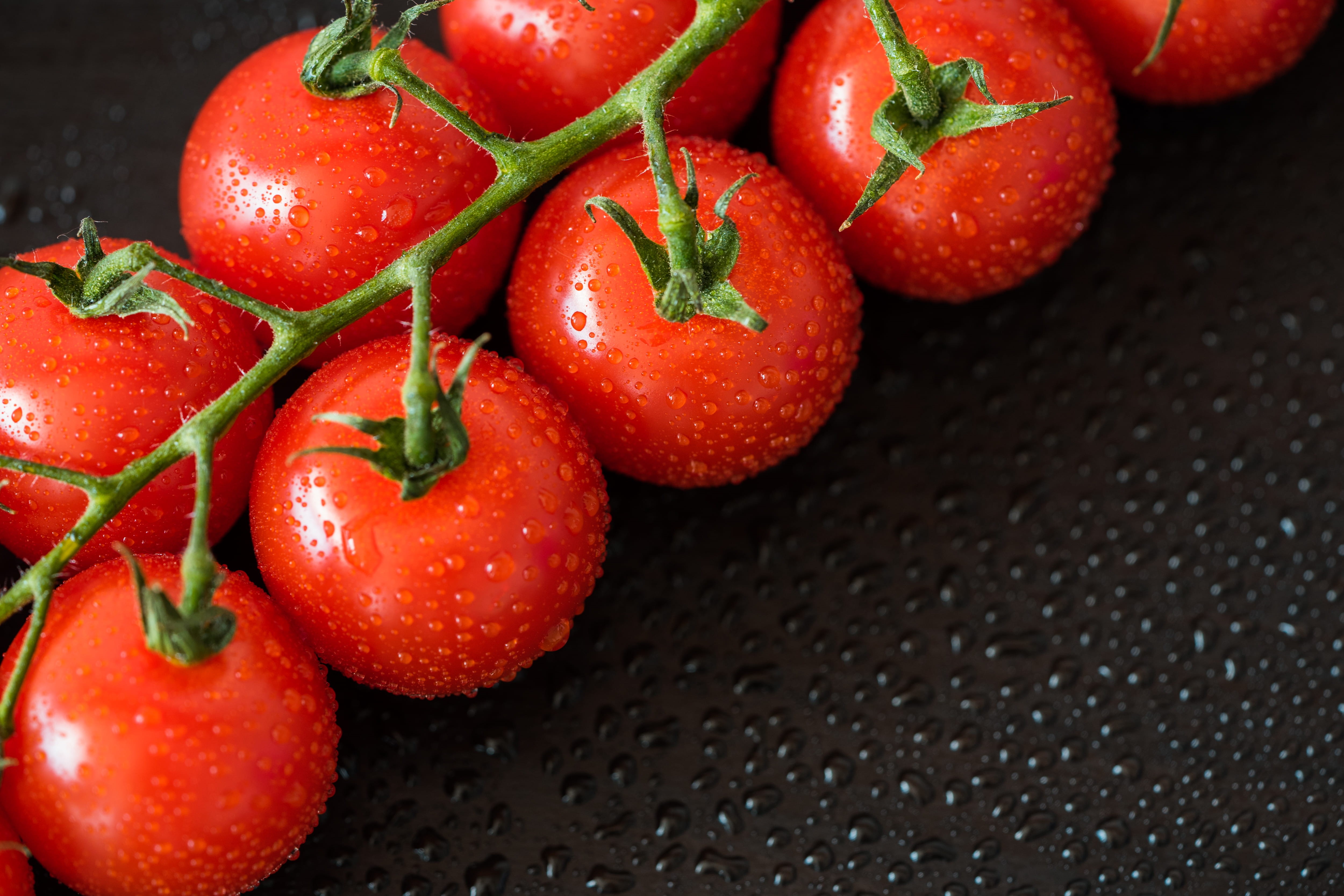 drop, health, ripe, healthy eating, no people, food and drink, fruit, water, vitamins, healthy, text, perfect, seasonings, tomatoes, close-up, indoors, HD Wallpaper