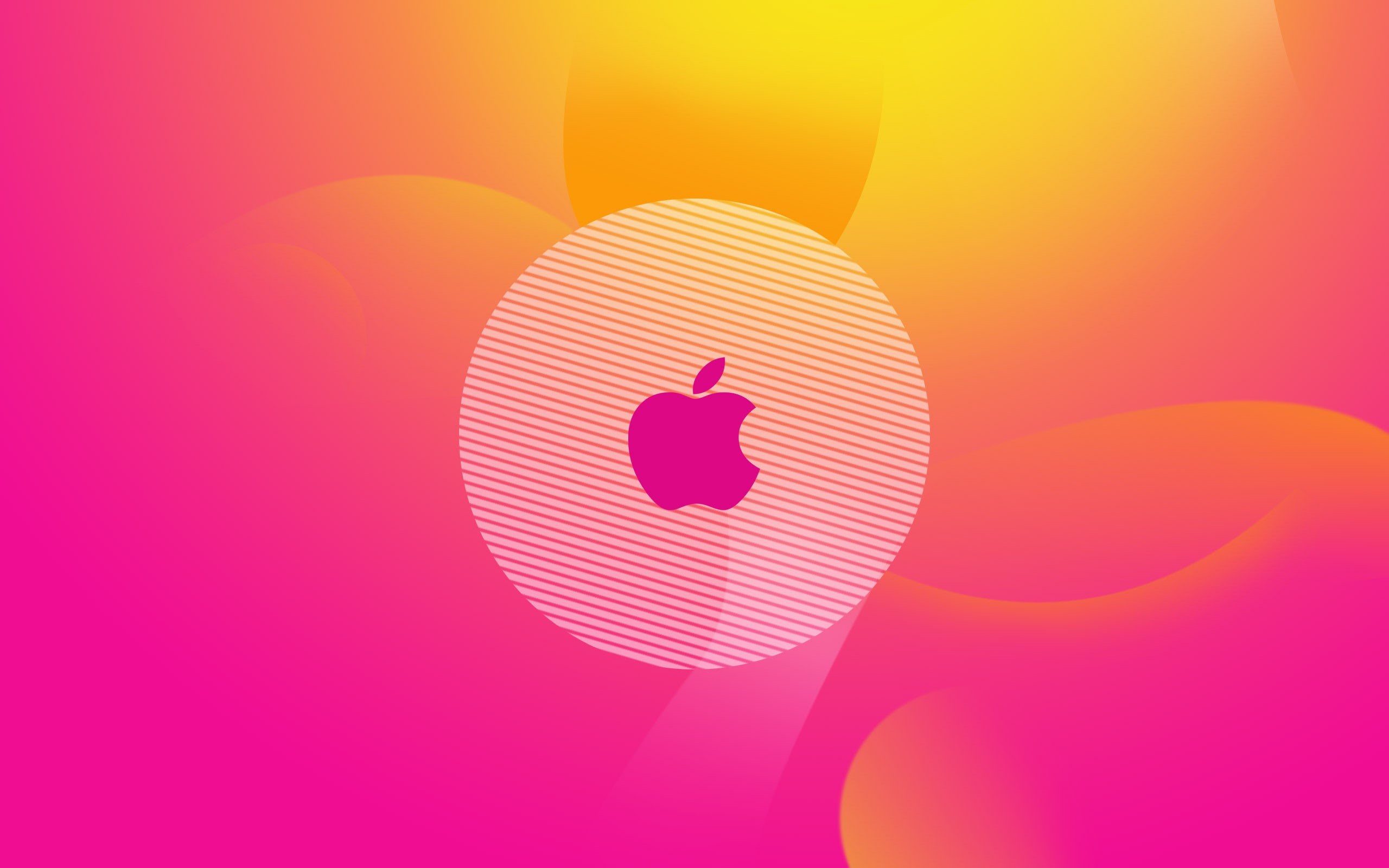 Hi-Tech, computer icon, creativity, geometric shape, color, gift, positive emotion, gradient, card, 2K, colored background, purple, color gradient, shape, HD Wallpaper