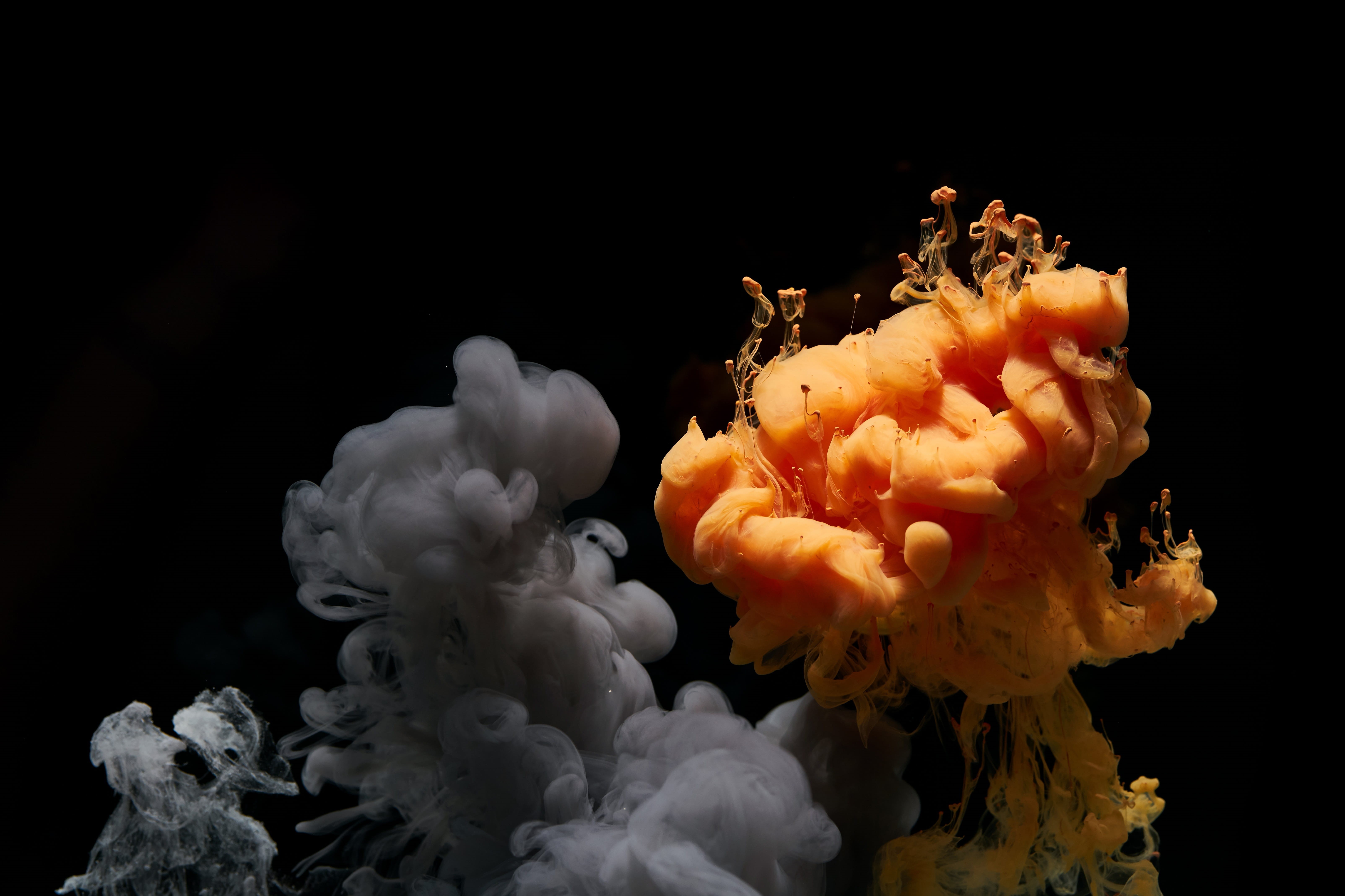 painting, underwater, texture, pattern, ink, black background, indoors, sea, black, water, motion, no people, jump, liquid, creative, abstract, messy, freshness, HD Wallpaper