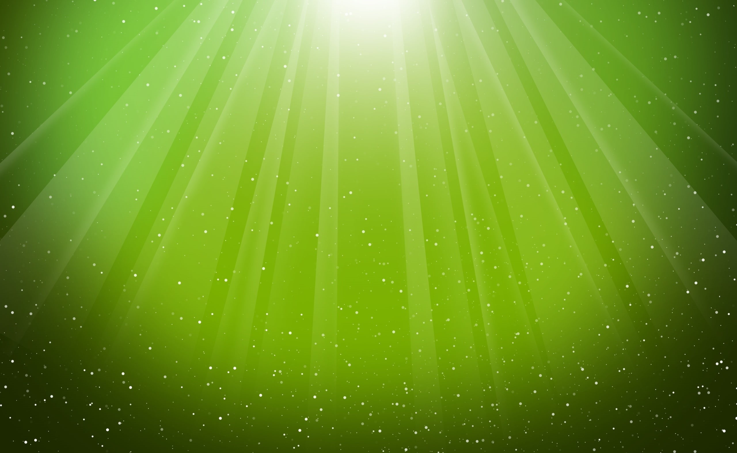 beauty in nature, 2K, wet, raindrop, sunbeam, full frame, leaves, Burst, bright, leaf, drop, growth, plant part, freshness, hd, lens flare, purity, rain, HD Wallpaper